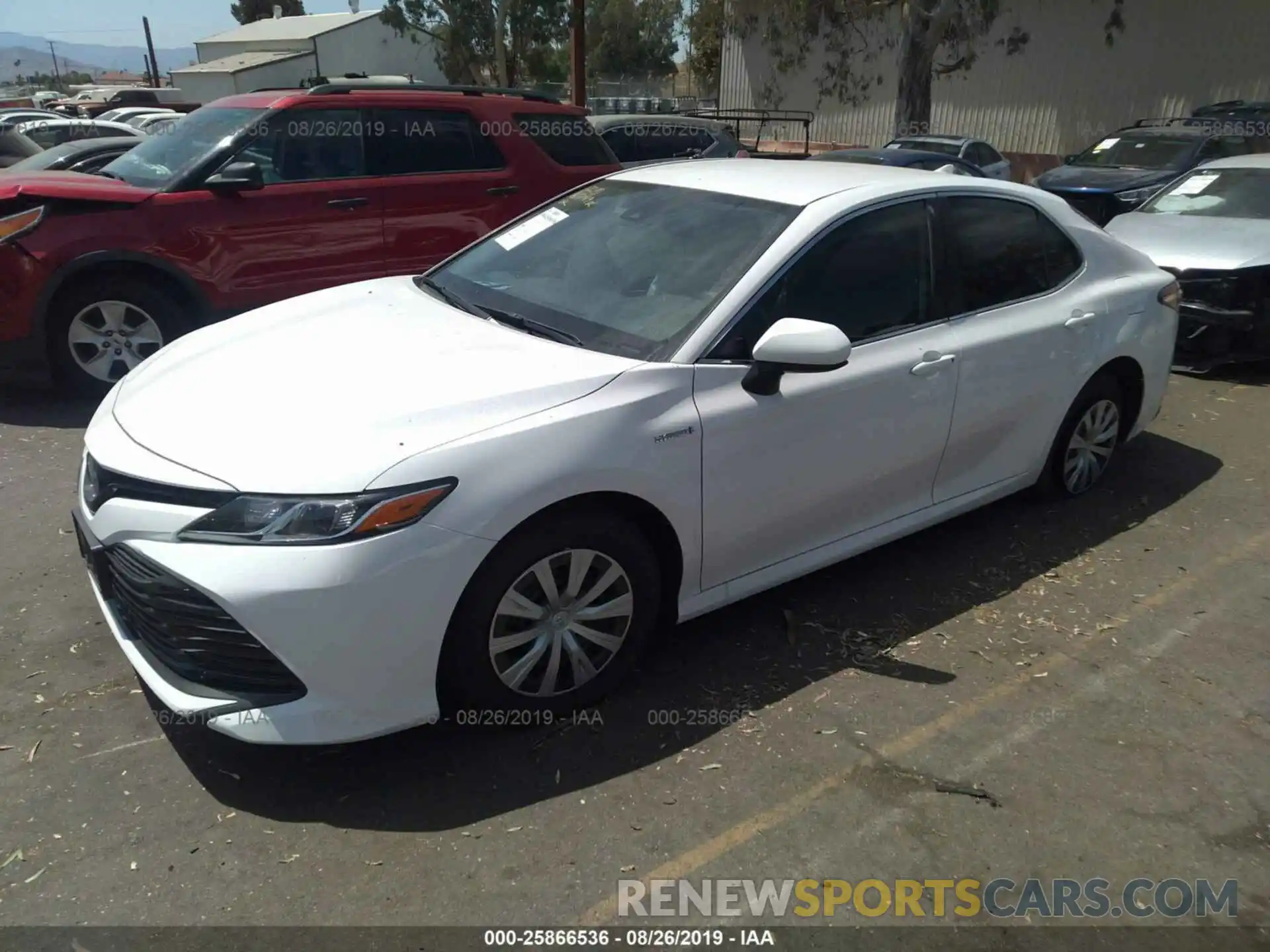 2 Photograph of a damaged car 4T1B31HK2KU005526 TOYOTA CAMRY 2019