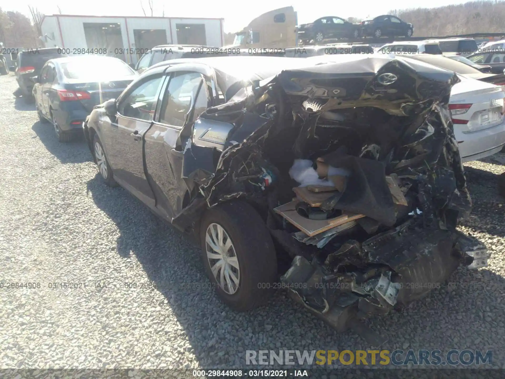 3 Photograph of a damaged car 4T1B31HK2KU509462 TOYOTA CAMRY 2019