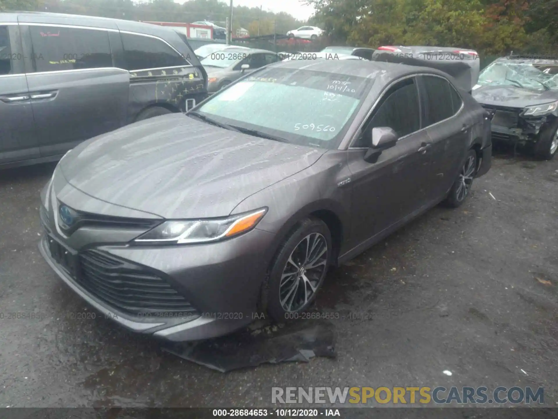 2 Photograph of a damaged car 4T1B31HK2KU509560 TOYOTA CAMRY 2019