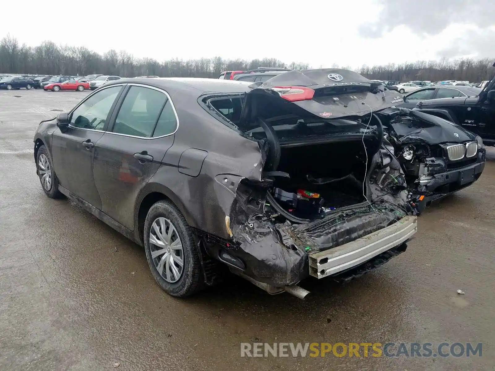 3 Photograph of a damaged car 4T1B31HK2KU514421 TOYOTA CAMRY 2019