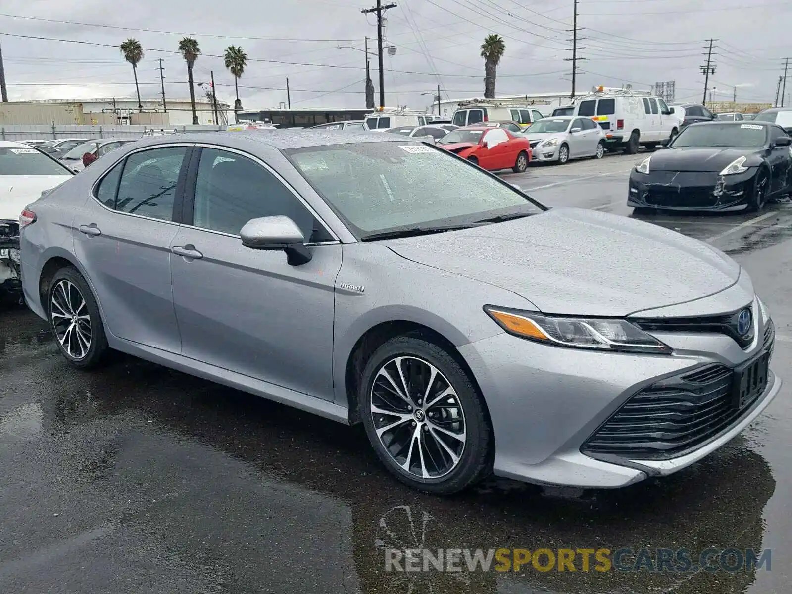 1 Photograph of a damaged car 4T1B31HK3KU509437 TOYOTA CAMRY 2019