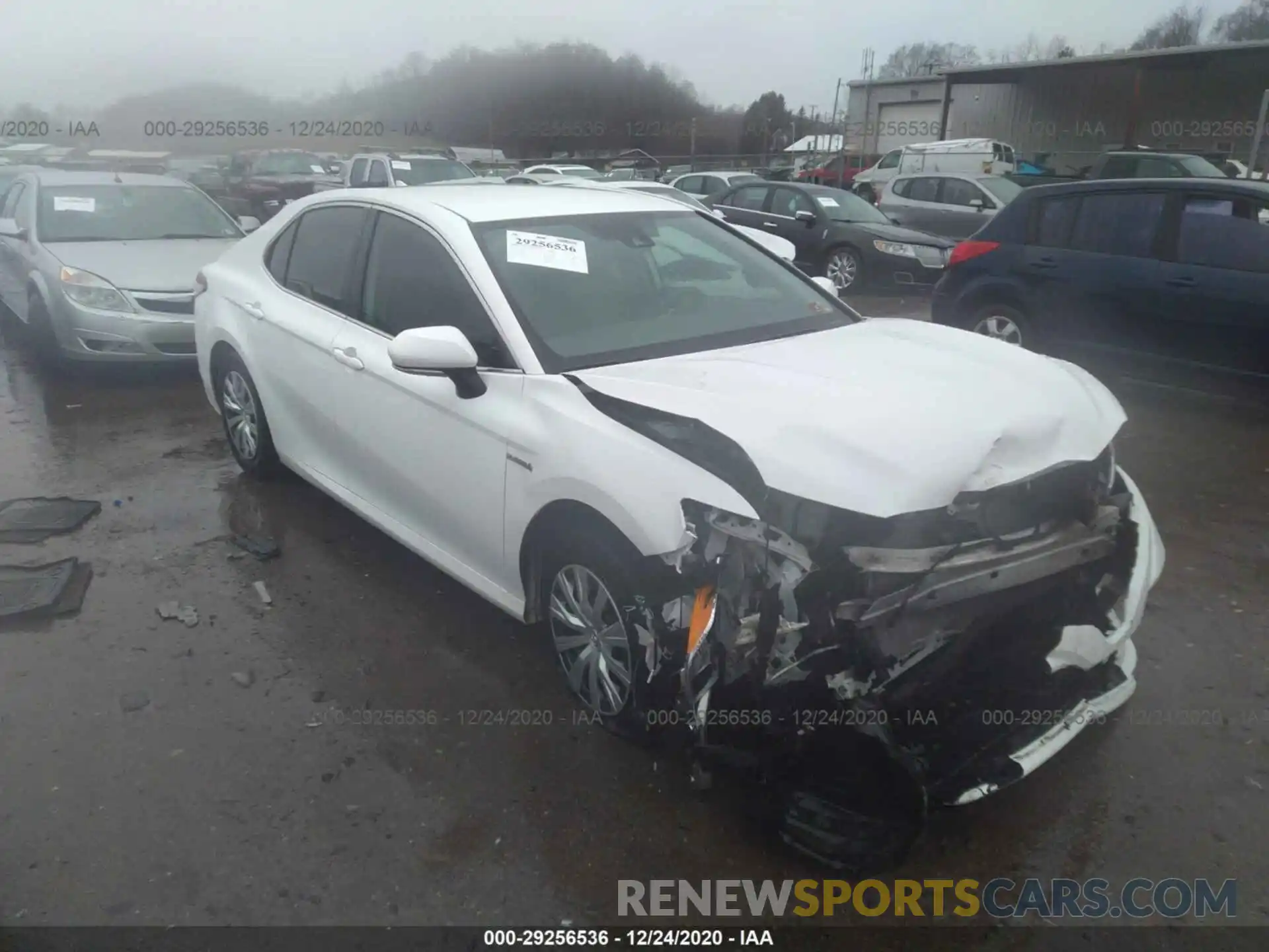 1 Photograph of a damaged car 4T1B31HK3KU511821 TOYOTA CAMRY 2019