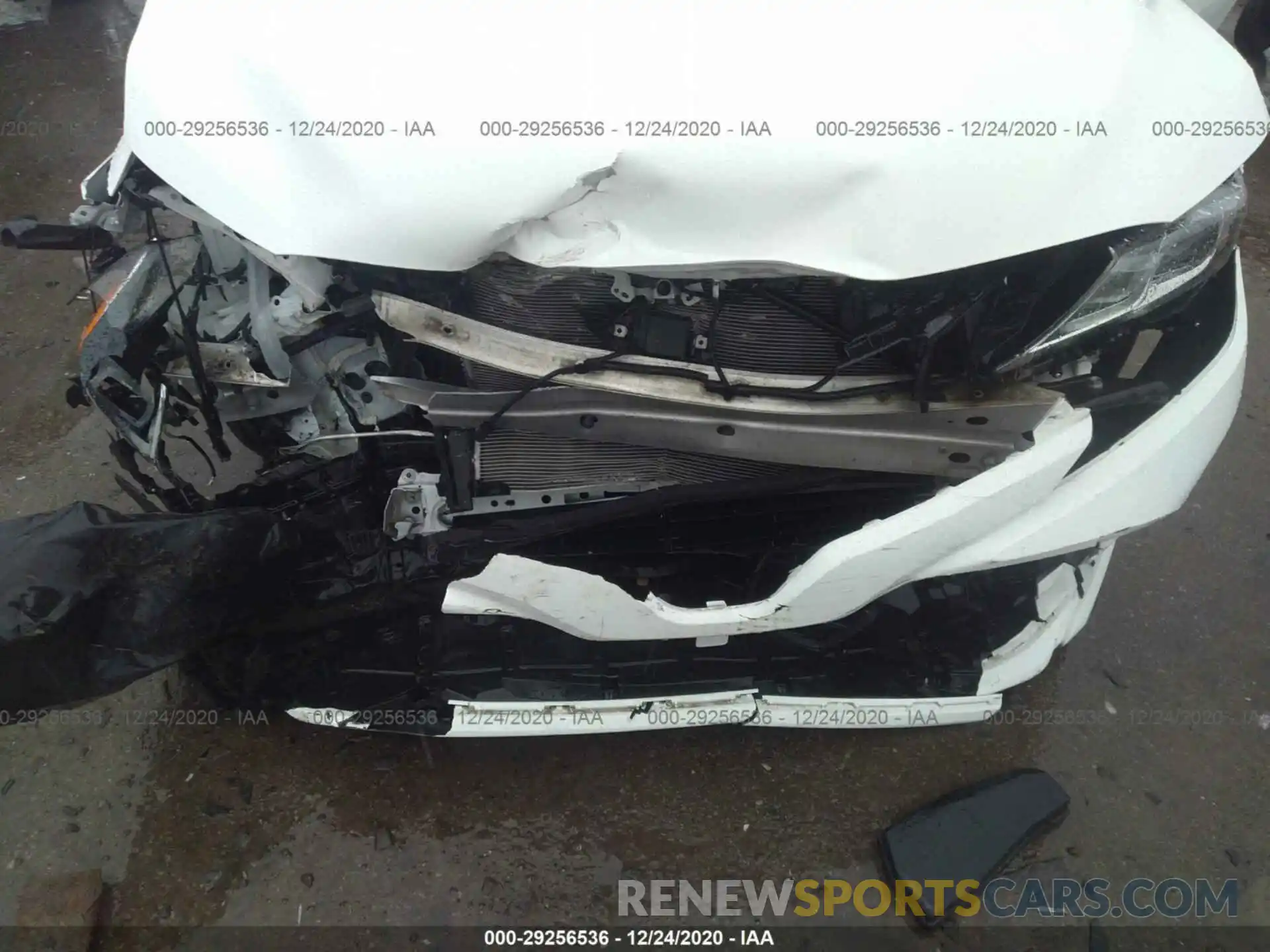 6 Photograph of a damaged car 4T1B31HK3KU511821 TOYOTA CAMRY 2019