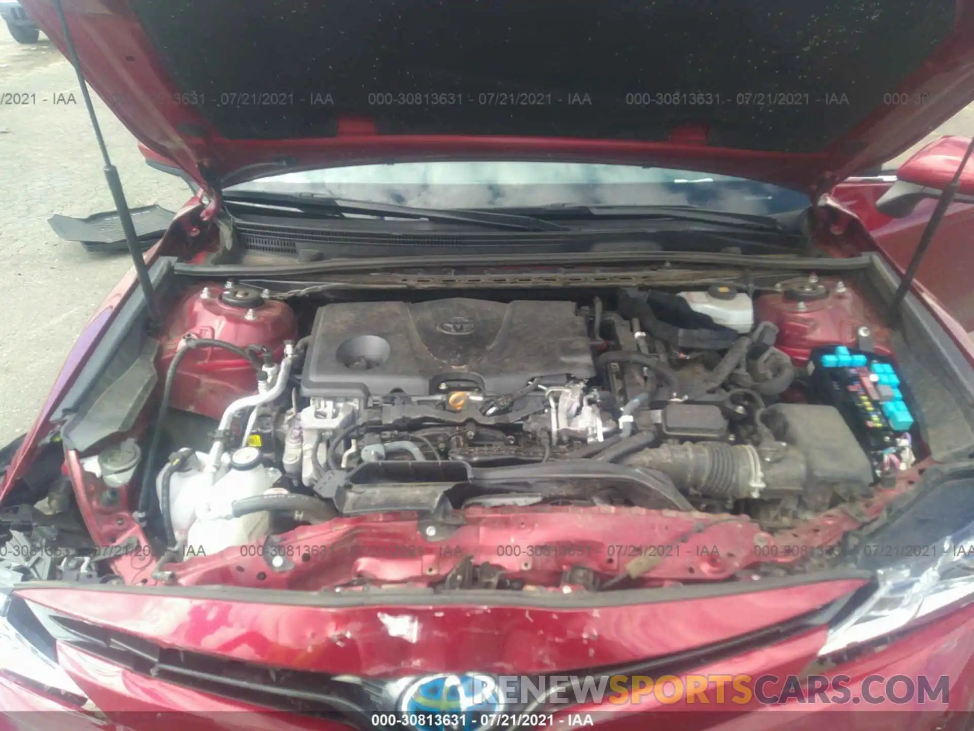 10 Photograph of a damaged car 4T1B31HK3KU513097 TOYOTA CAMRY 2019