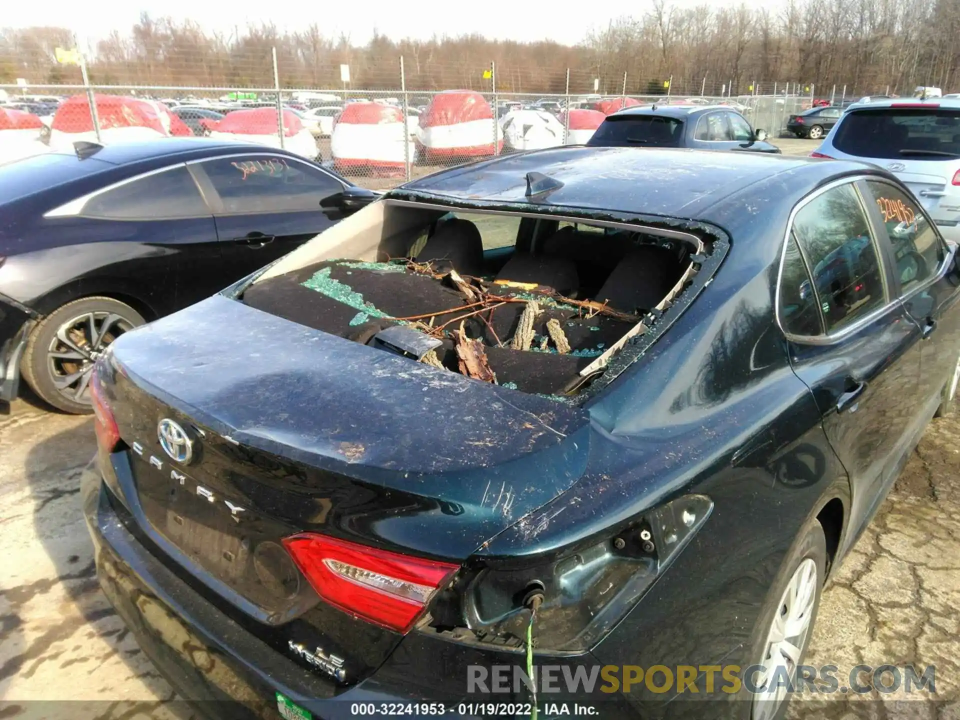 6 Photograph of a damaged car 4T1B31HK3KU516064 TOYOTA CAMRY 2019