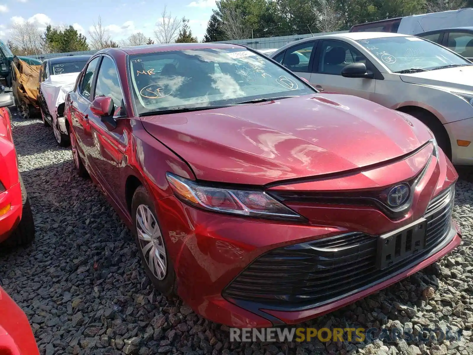 1 Photograph of a damaged car 4T1B31HK3KU516906 TOYOTA CAMRY 2019