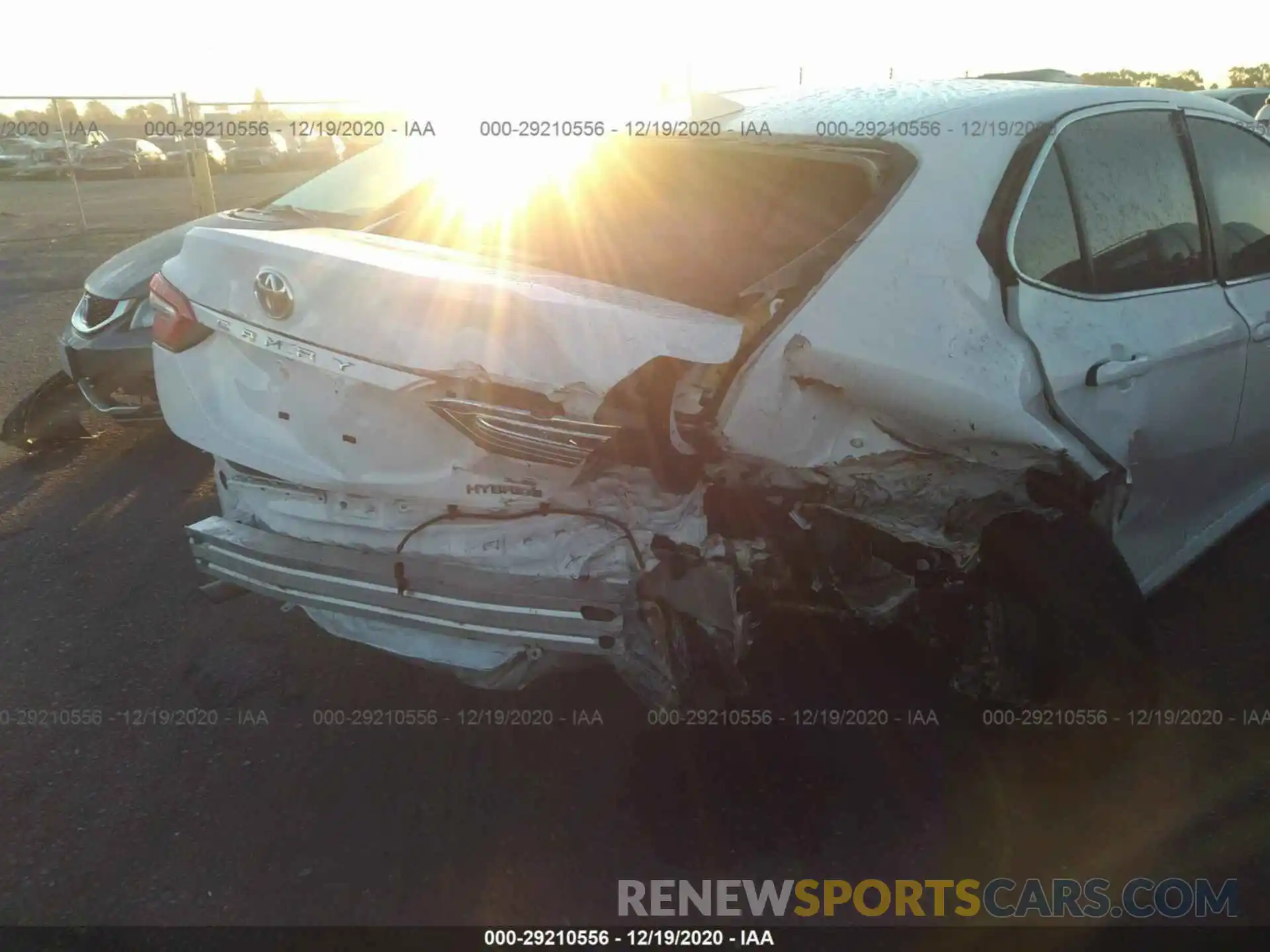 6 Photograph of a damaged car 4T1B31HK3KU517070 TOYOTA CAMRY 2019