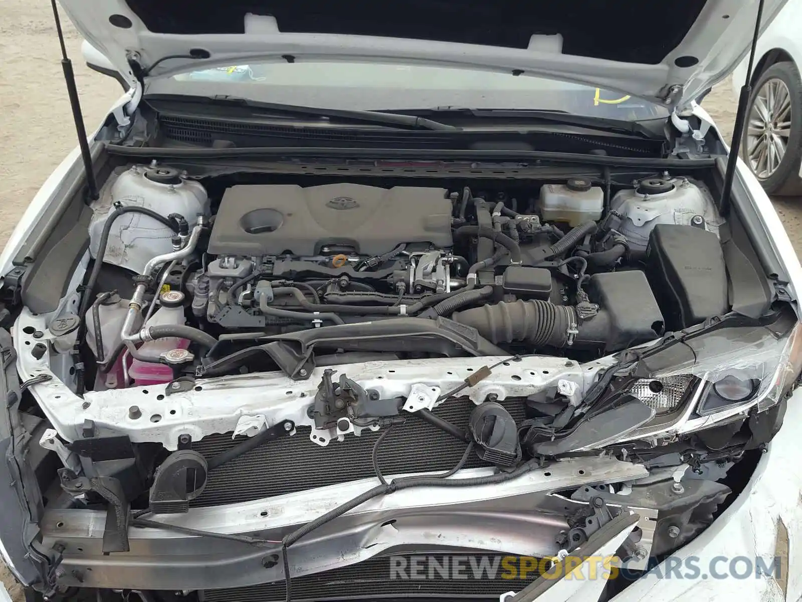 7 Photograph of a damaged car 4T1B31HK4KU006659 TOYOTA CAMRY 2019