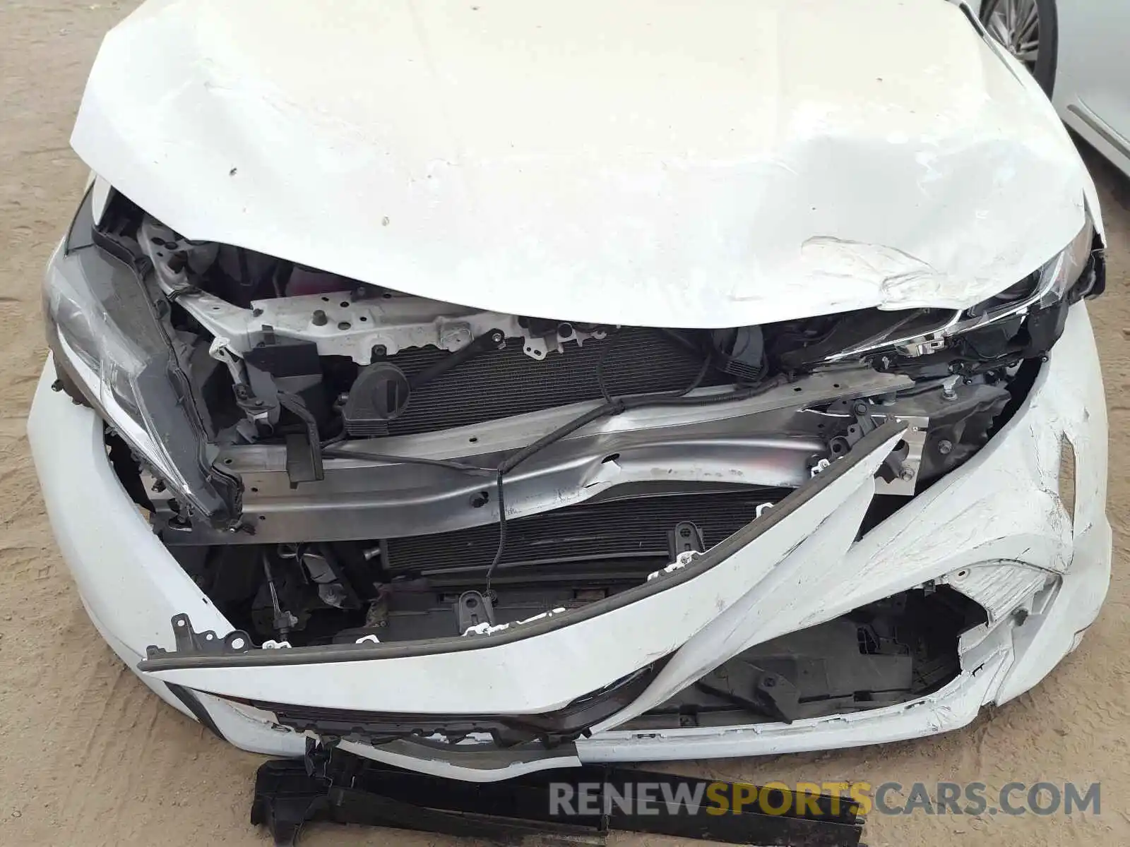 9 Photograph of a damaged car 4T1B31HK4KU006659 TOYOTA CAMRY 2019