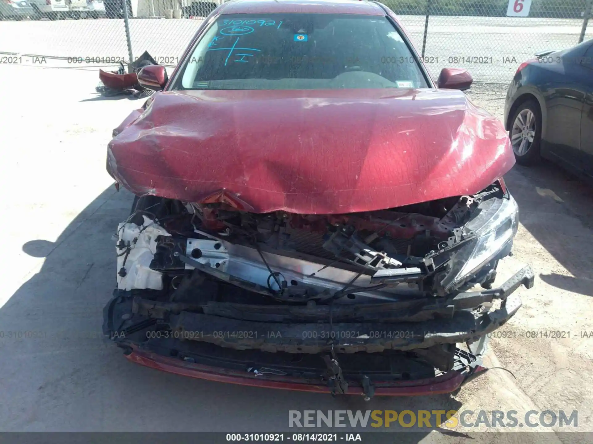 6 Photograph of a damaged car 4T1B31HK4KU007536 TOYOTA CAMRY 2019