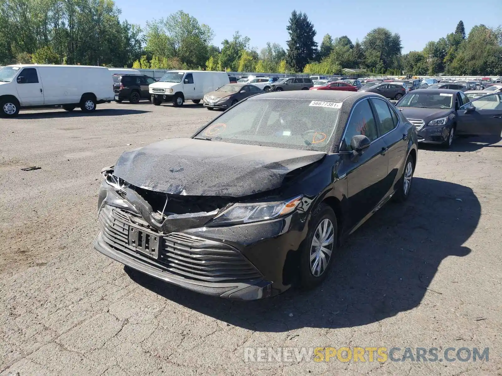 2 Photograph of a damaged car 4T1B31HK4KU509074 TOYOTA CAMRY 2019