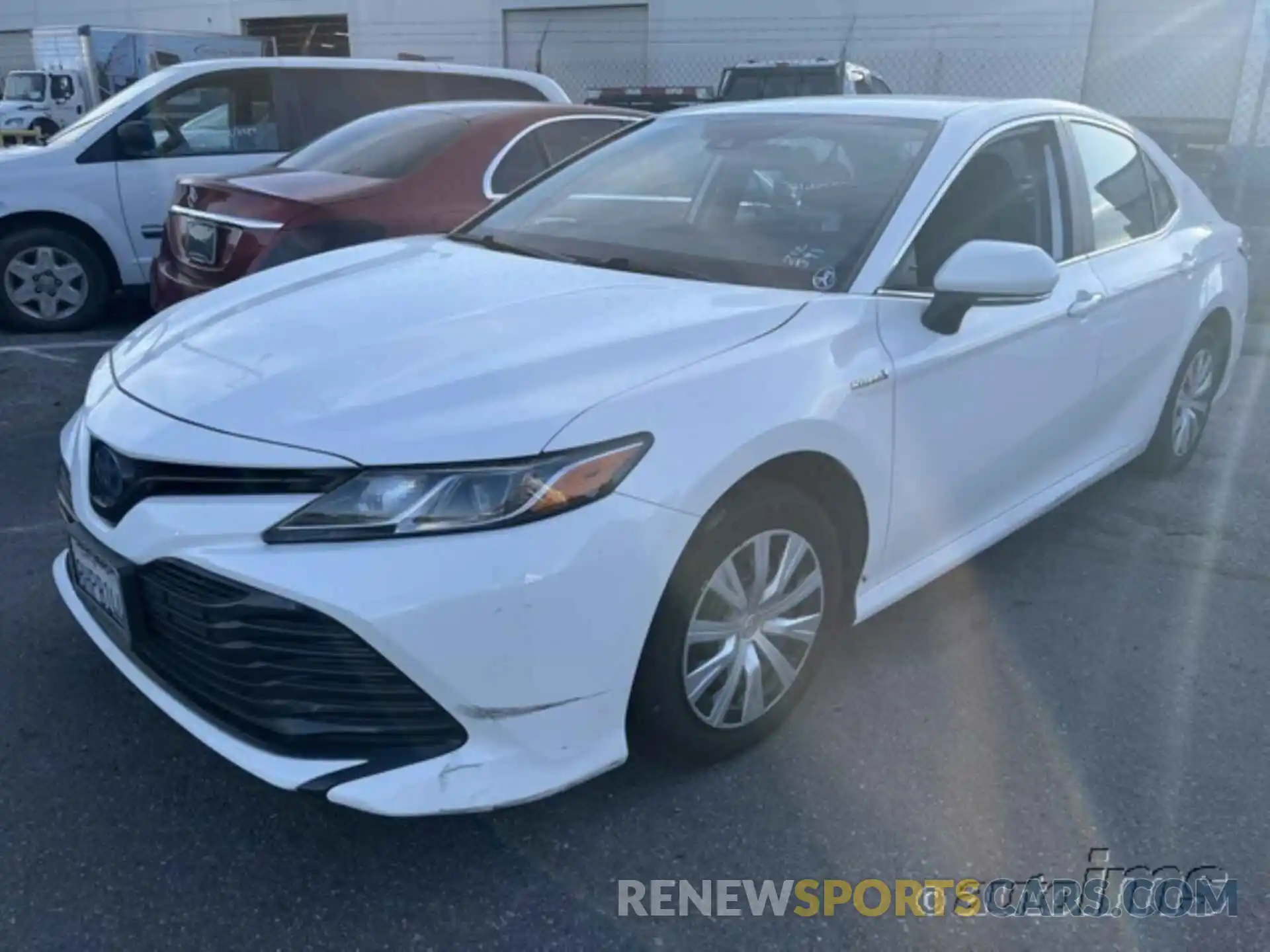 13 Photograph of a damaged car 4T1B31HK4KU509981 TOYOTA CAMRY 2019