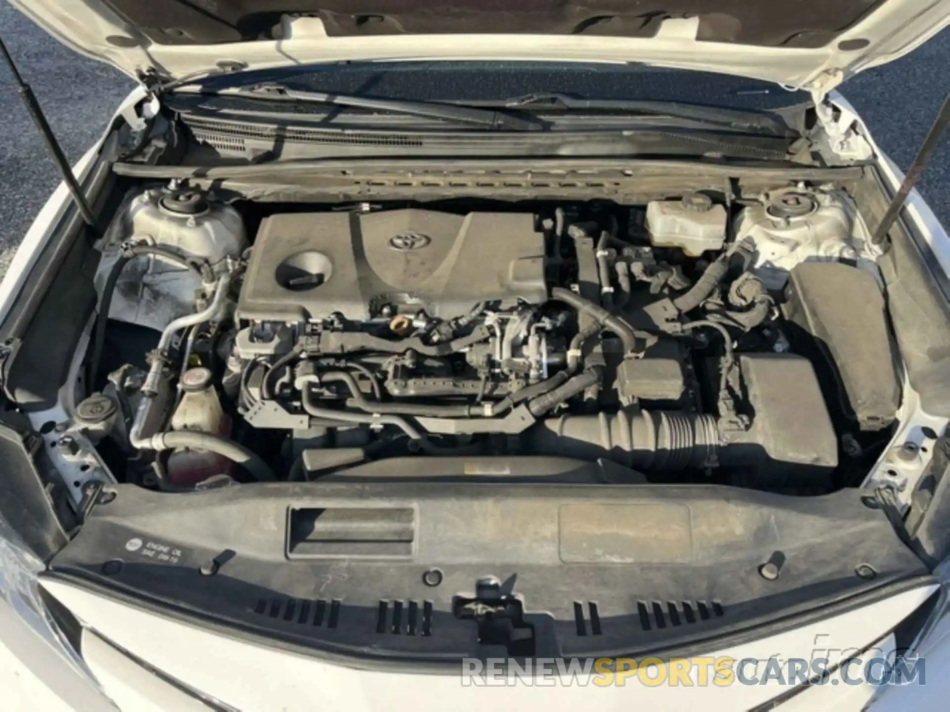 5 Photograph of a damaged car 4T1B31HK4KU509981 TOYOTA CAMRY 2019