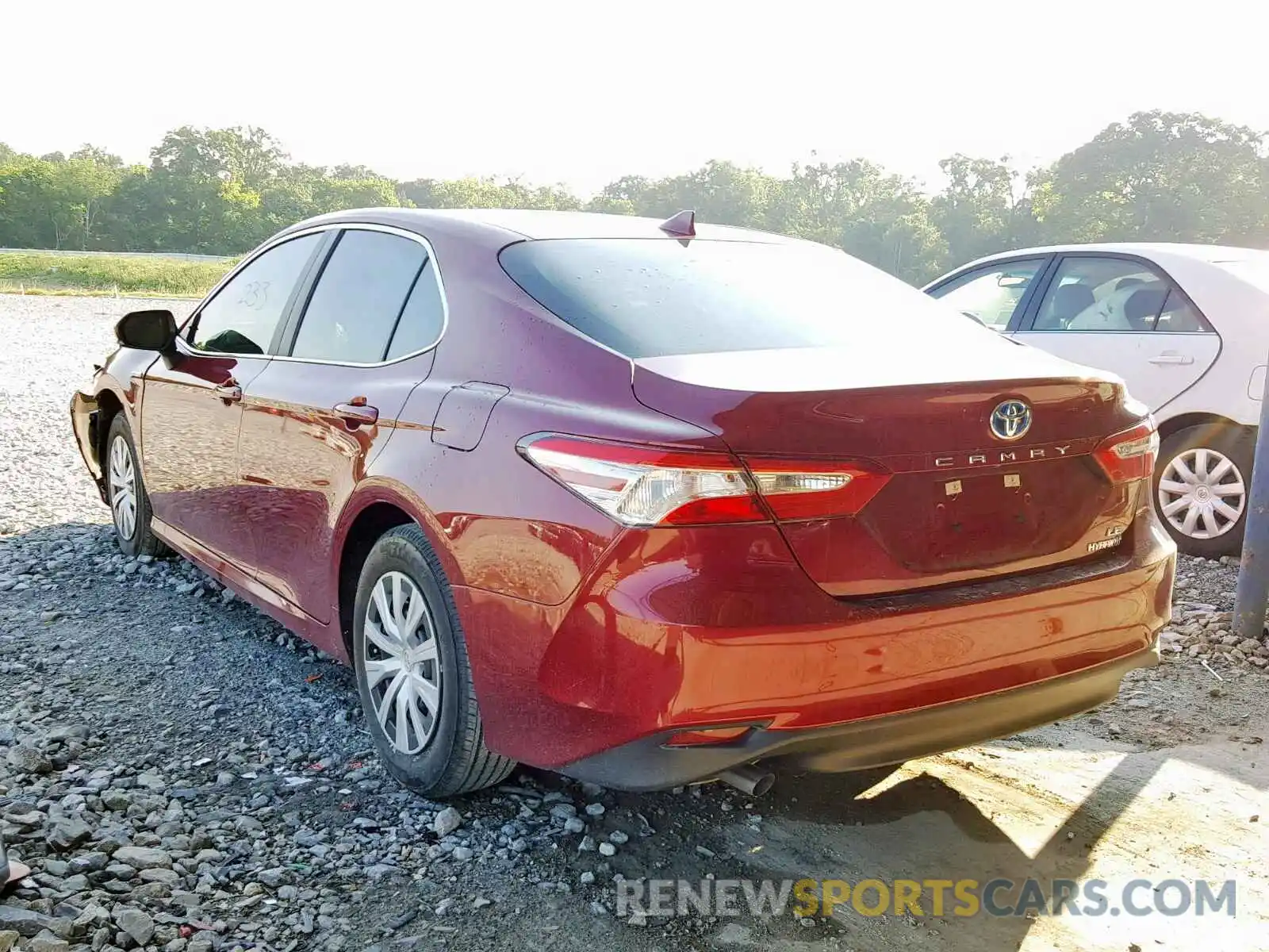 3 Photograph of a damaged car 4T1B31HK4KU512931 TOYOTA CAMRY 2019