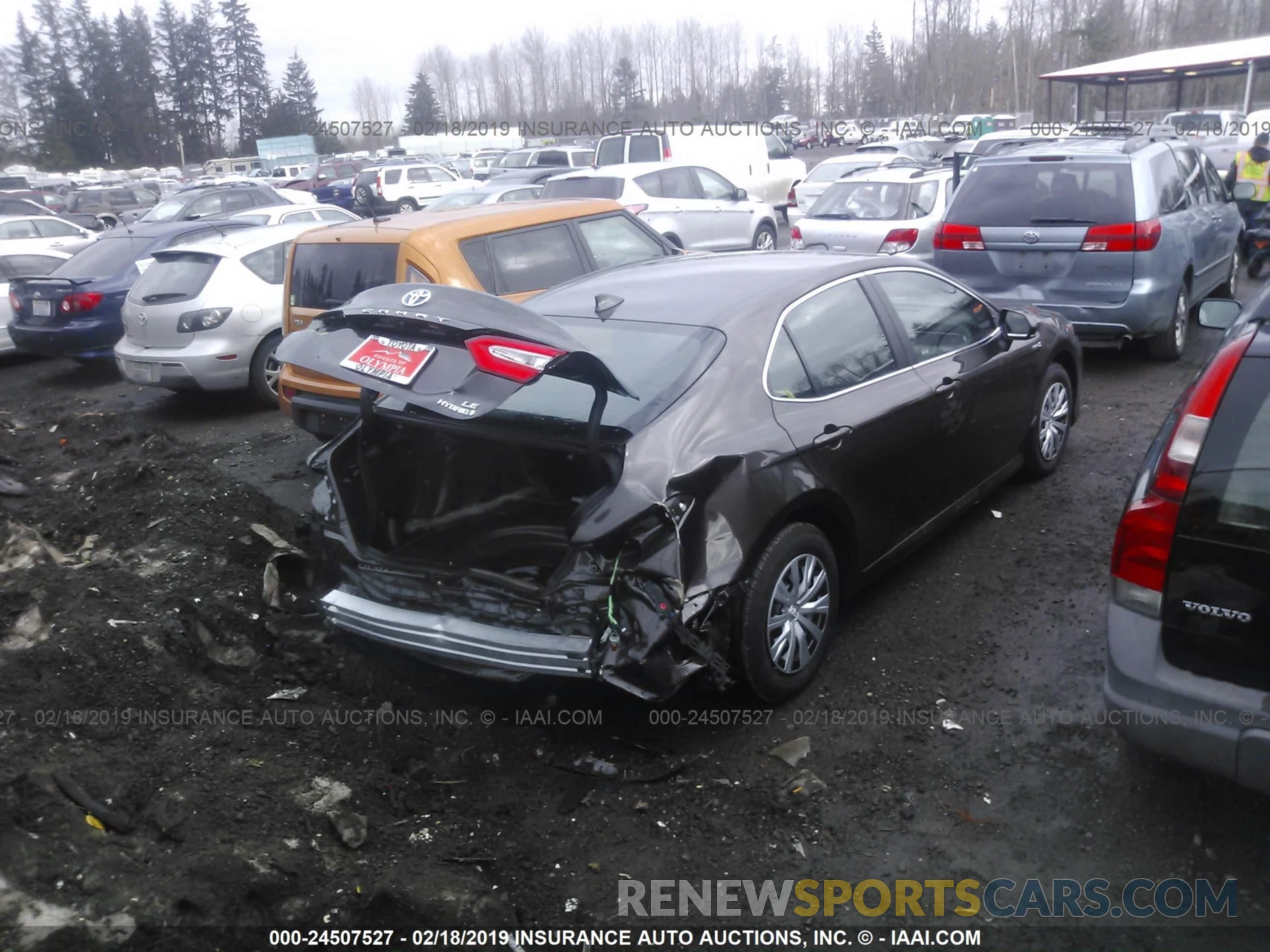 4 Photograph of a damaged car 4T1B31HK5KU005455 TOYOTA CAMRY 2019