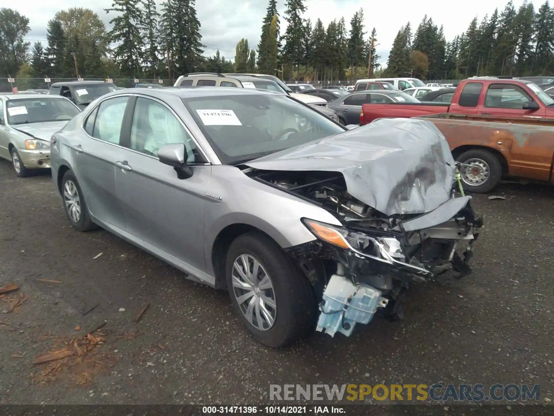 1 Photograph of a damaged car 4T1B31HK5KU006069 TOYOTA CAMRY 2019