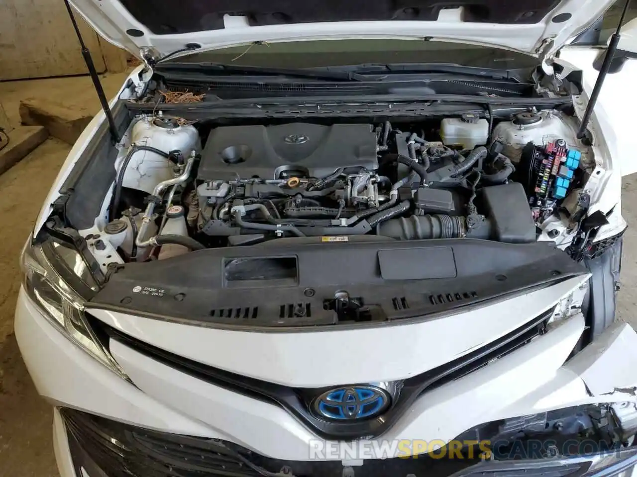 11 Photograph of a damaged car 4T1B31HK5KU006539 TOYOTA CAMRY 2019