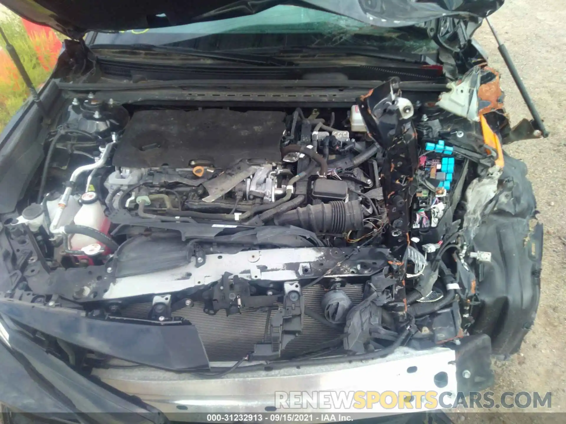 10 Photograph of a damaged car 4T1B31HK5KU006816 TOYOTA CAMRY 2019