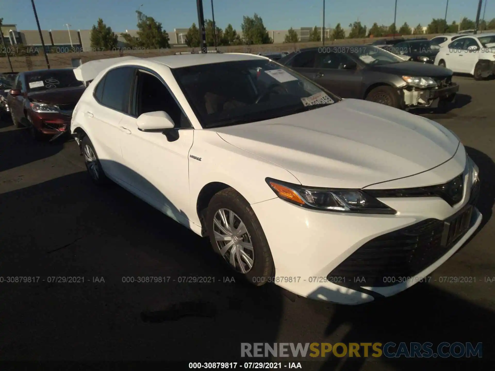 1 Photograph of a damaged car 4T1B31HK5KU509536 TOYOTA CAMRY 2019