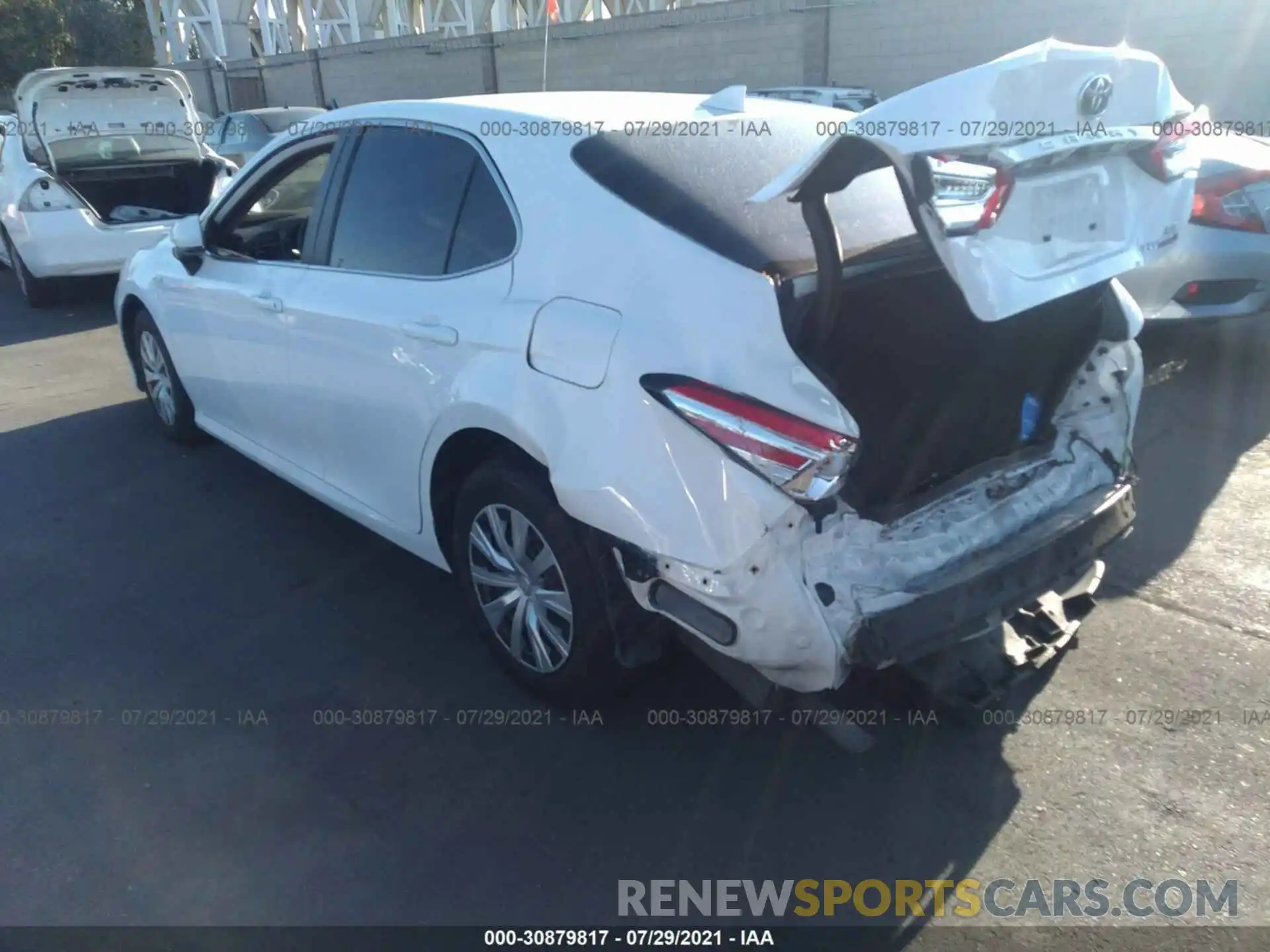 3 Фотография поврежденного автомобиля 4T1B31HK5KU509536 TOYOTA CAMRY 2019