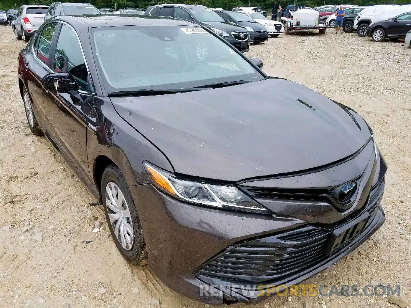 1 Photograph of a damaged car 4T1B31HK5KU510394 TOYOTA CAMRY 2019