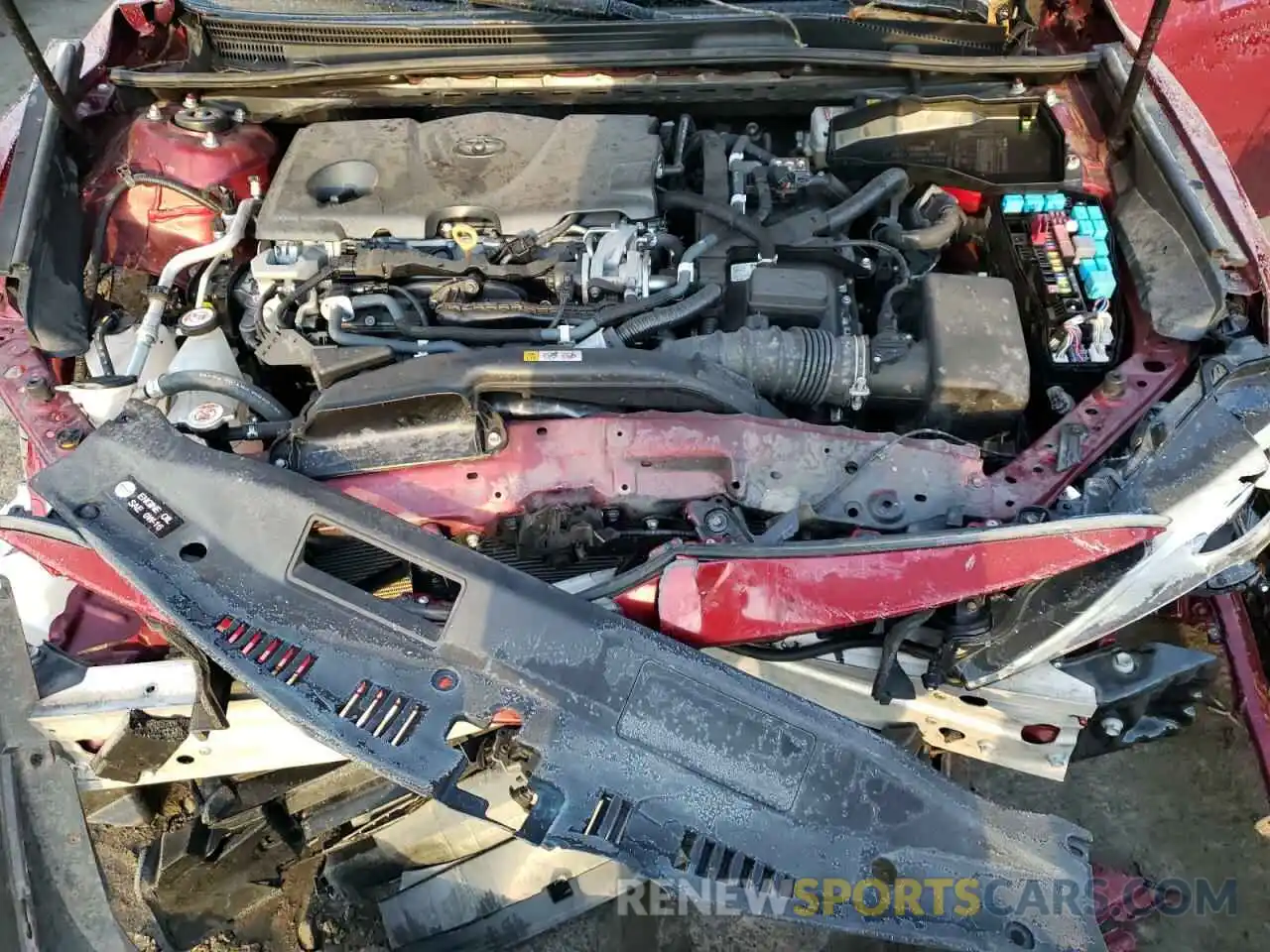 7 Photograph of a damaged car 4T1B31HK5KU510752 TOYOTA CAMRY 2019