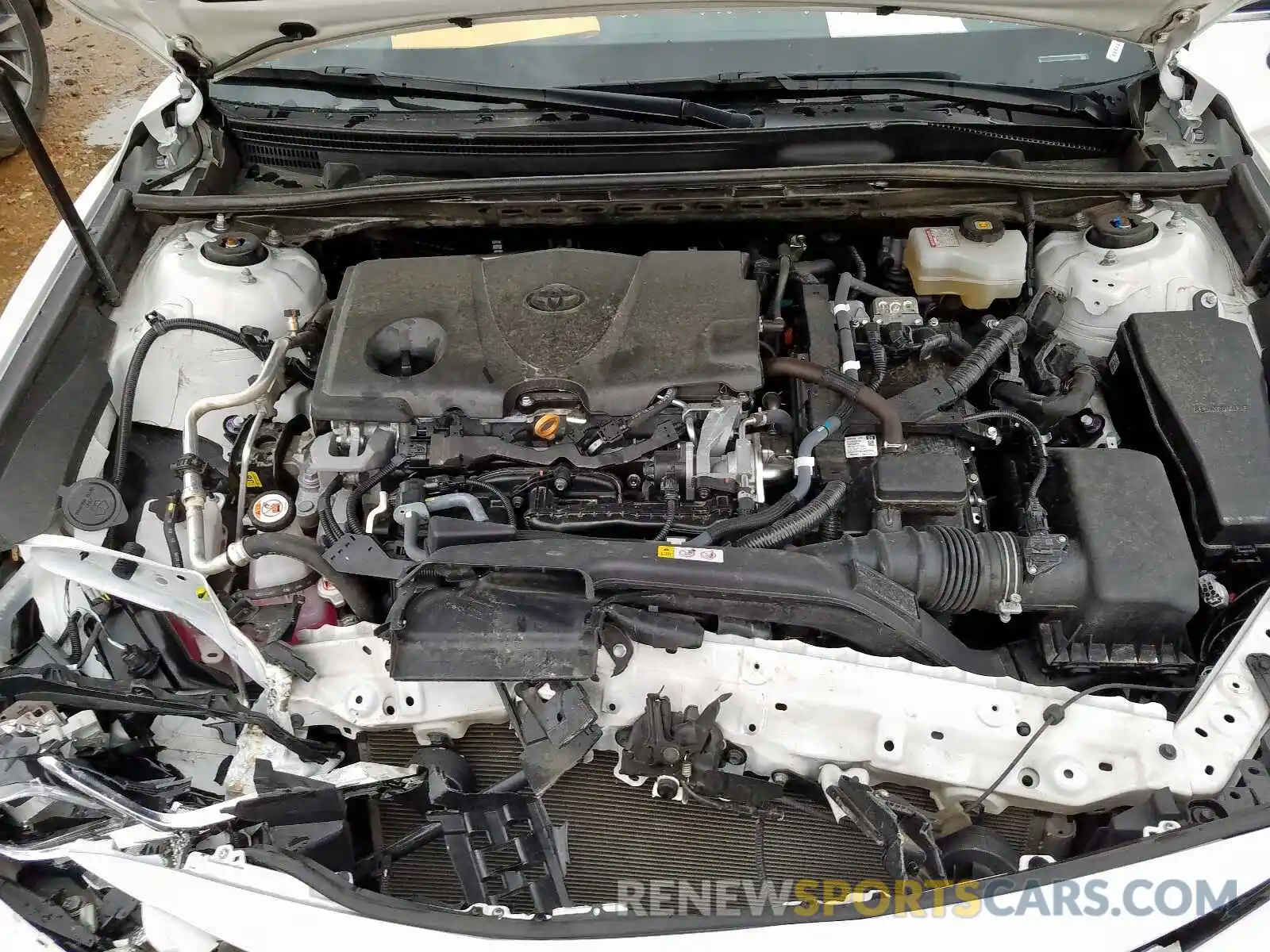 7 Photograph of a damaged car 4T1B31HK5KU511691 TOYOTA CAMRY 2019