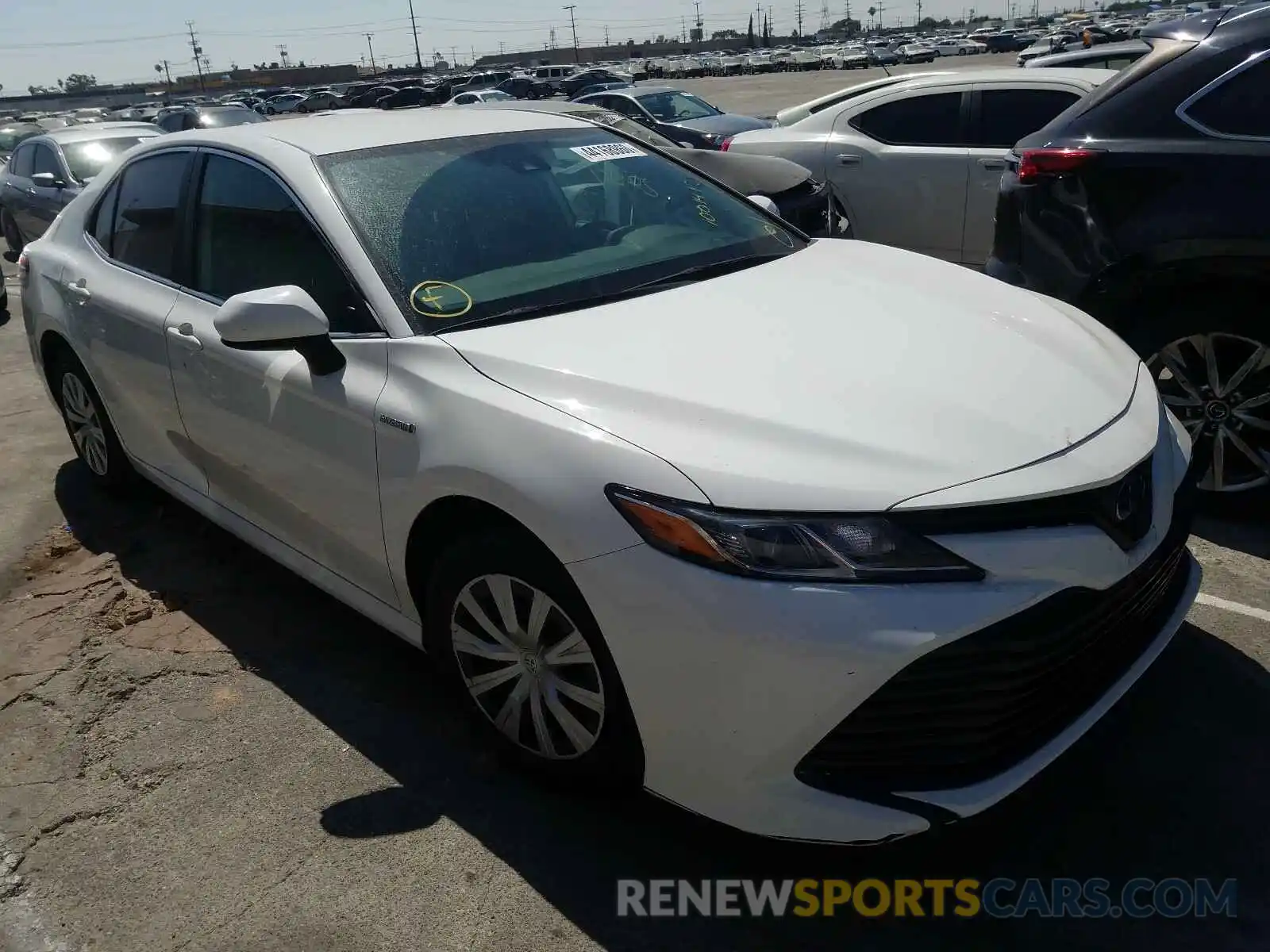 1 Photograph of a damaged car 4T1B31HK6KU006310 TOYOTA CAMRY 2019