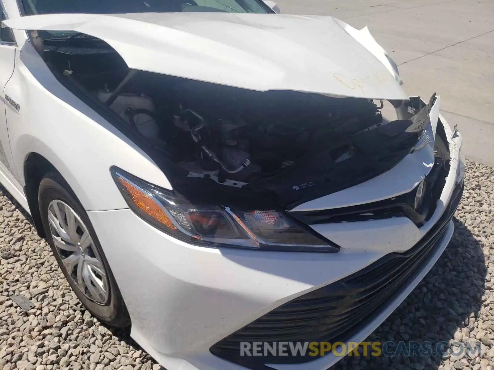 9 Photograph of a damaged car 4T1B31HK6KU511280 TOYOTA CAMRY 2019