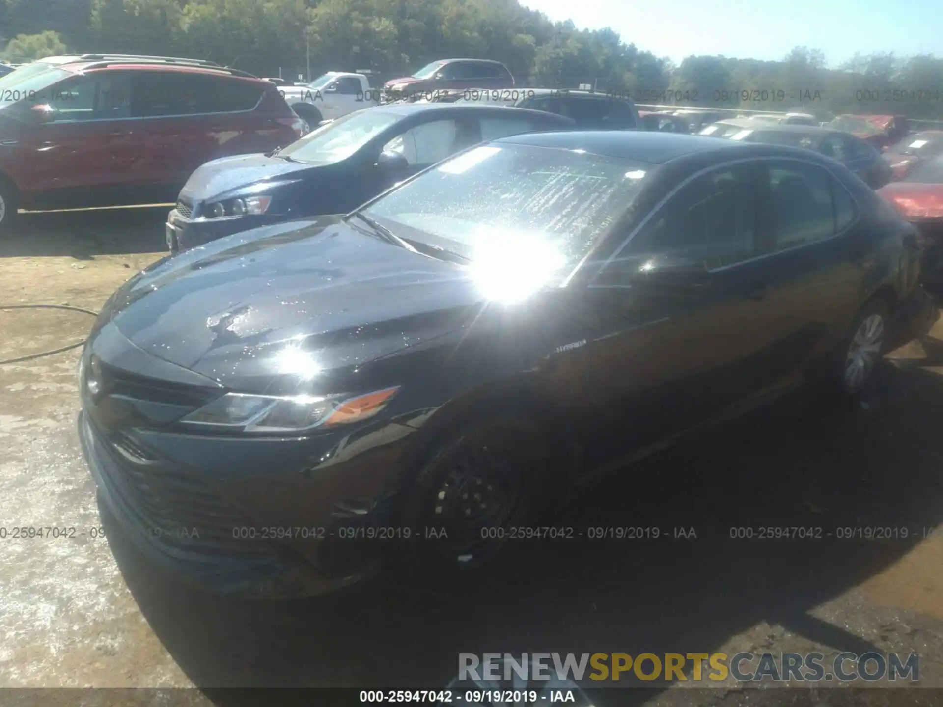 2 Photograph of a damaged car 4T1B31HK6KU514227 TOYOTA CAMRY 2019