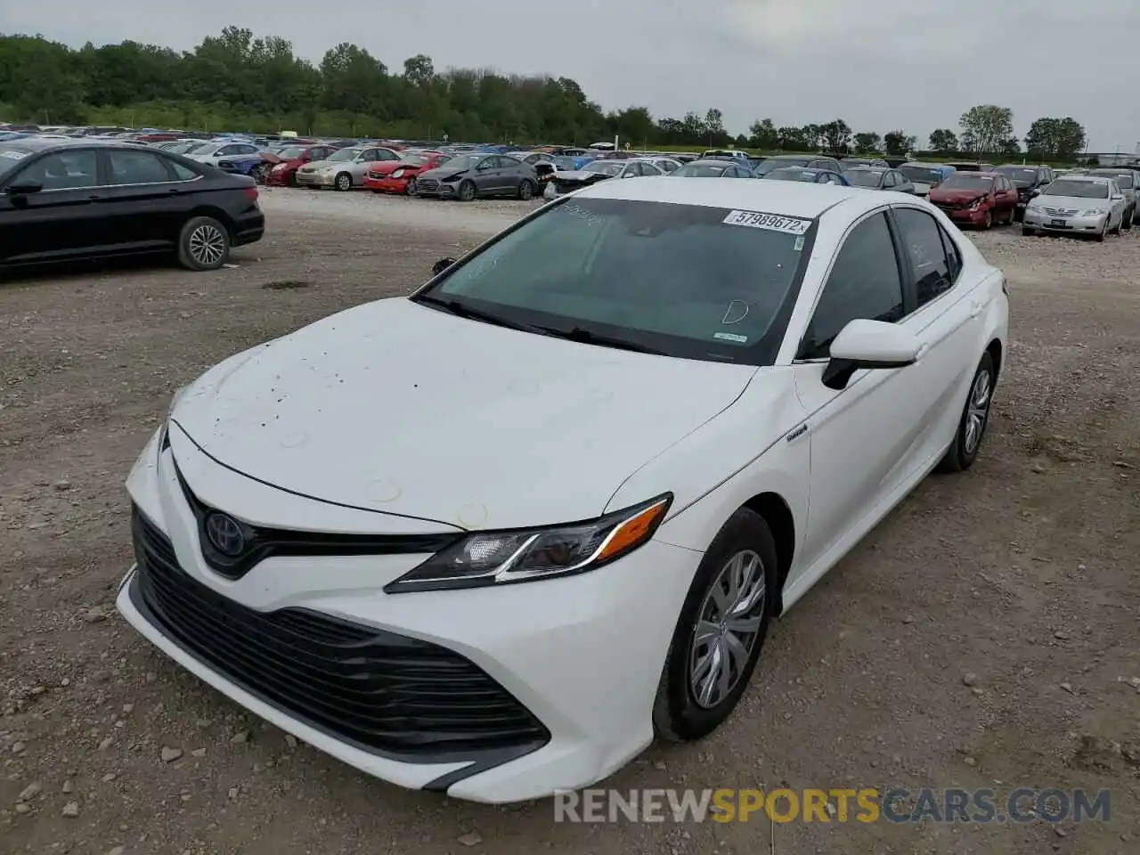 2 Photograph of a damaged car 4T1B31HK7KU005571 TOYOTA CAMRY 2019