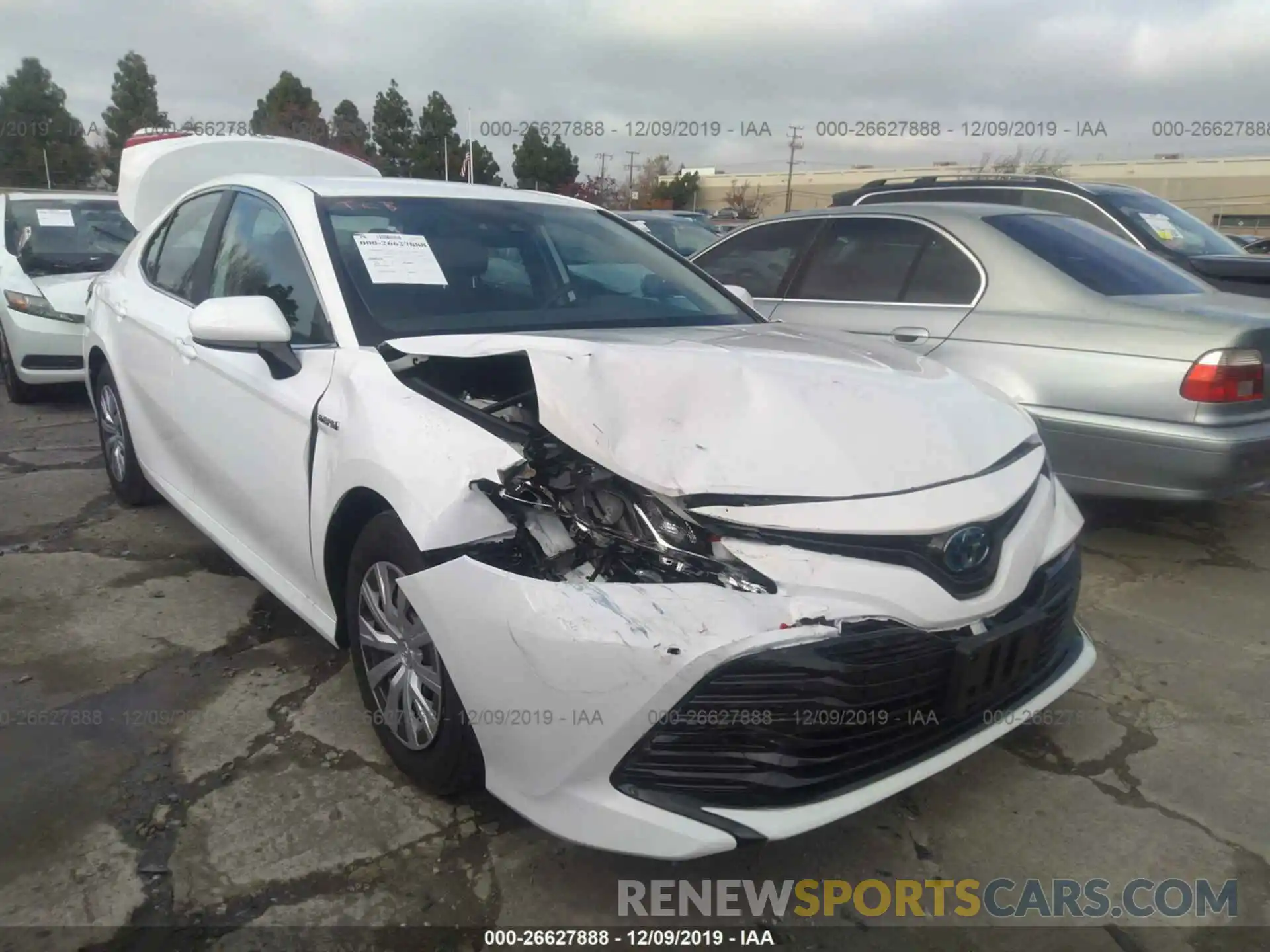 1 Photograph of a damaged car 4T1B31HK7KU009054 TOYOTA CAMRY 2019