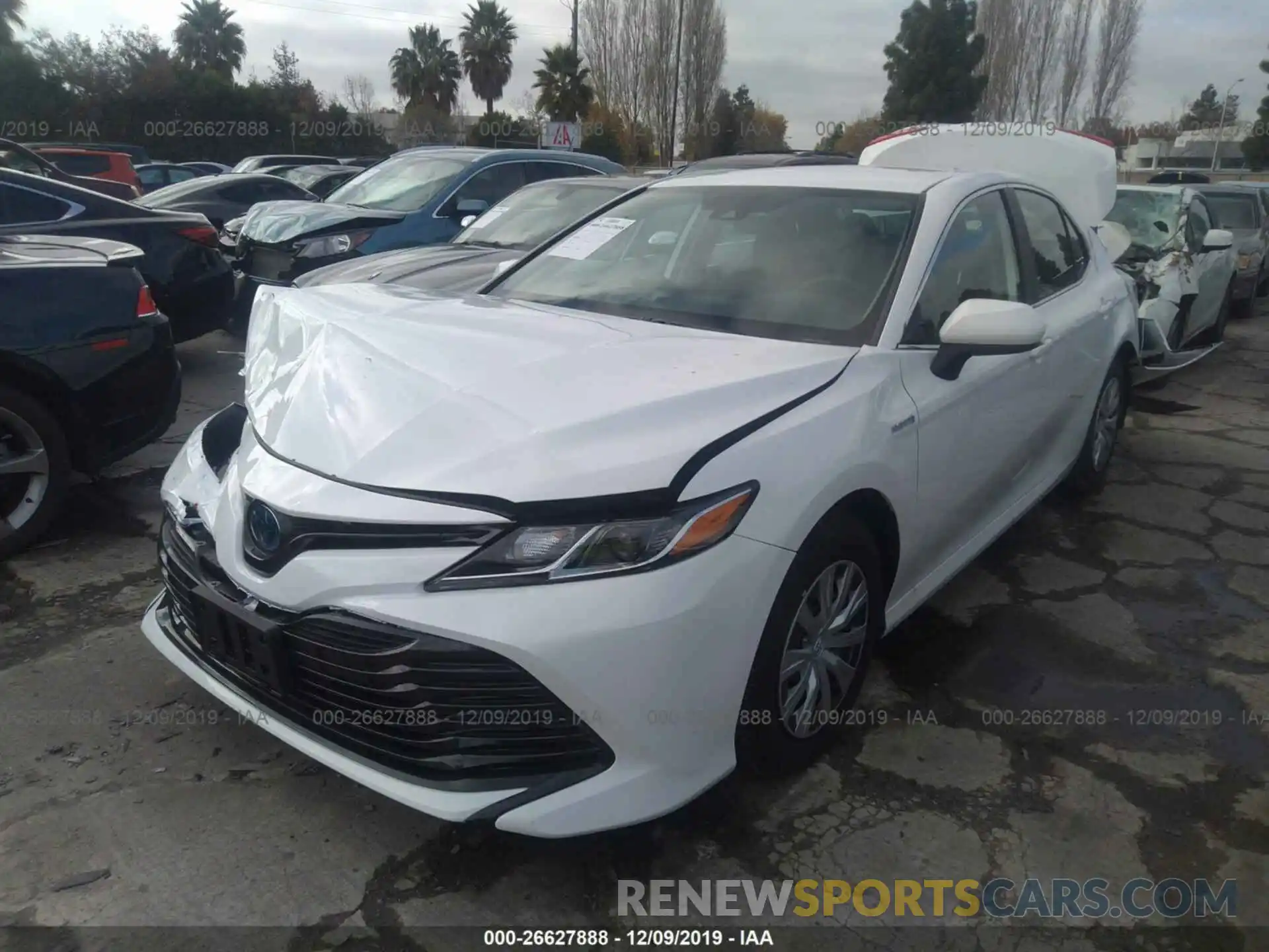 2 Photograph of a damaged car 4T1B31HK7KU009054 TOYOTA CAMRY 2019