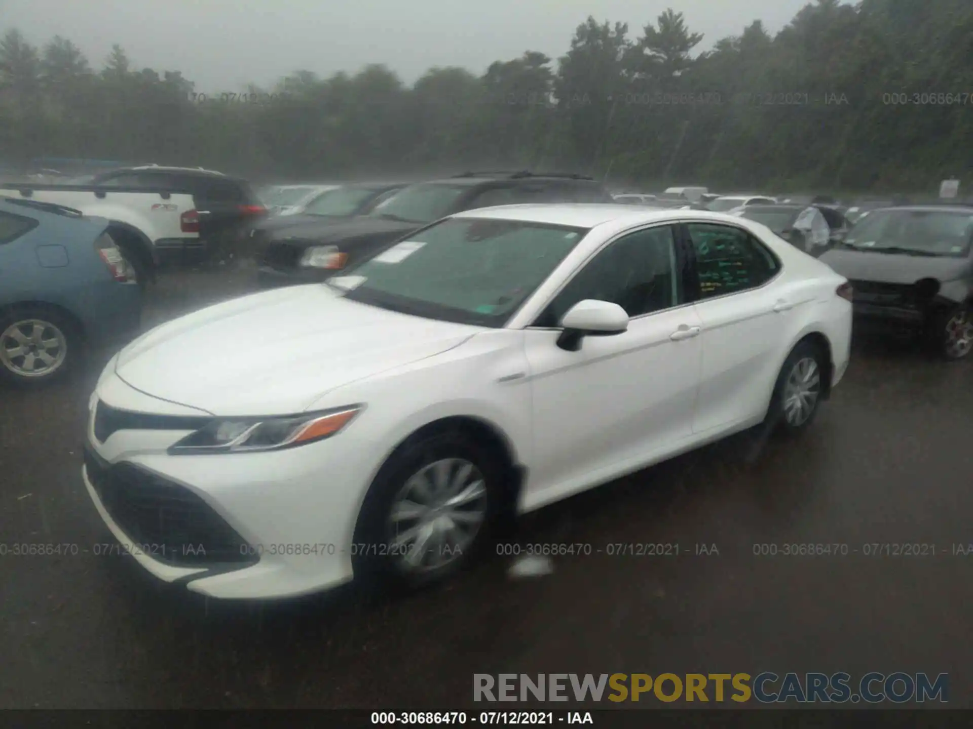 2 Photograph of a damaged car 4T1B31HK7KU510770 TOYOTA CAMRY 2019