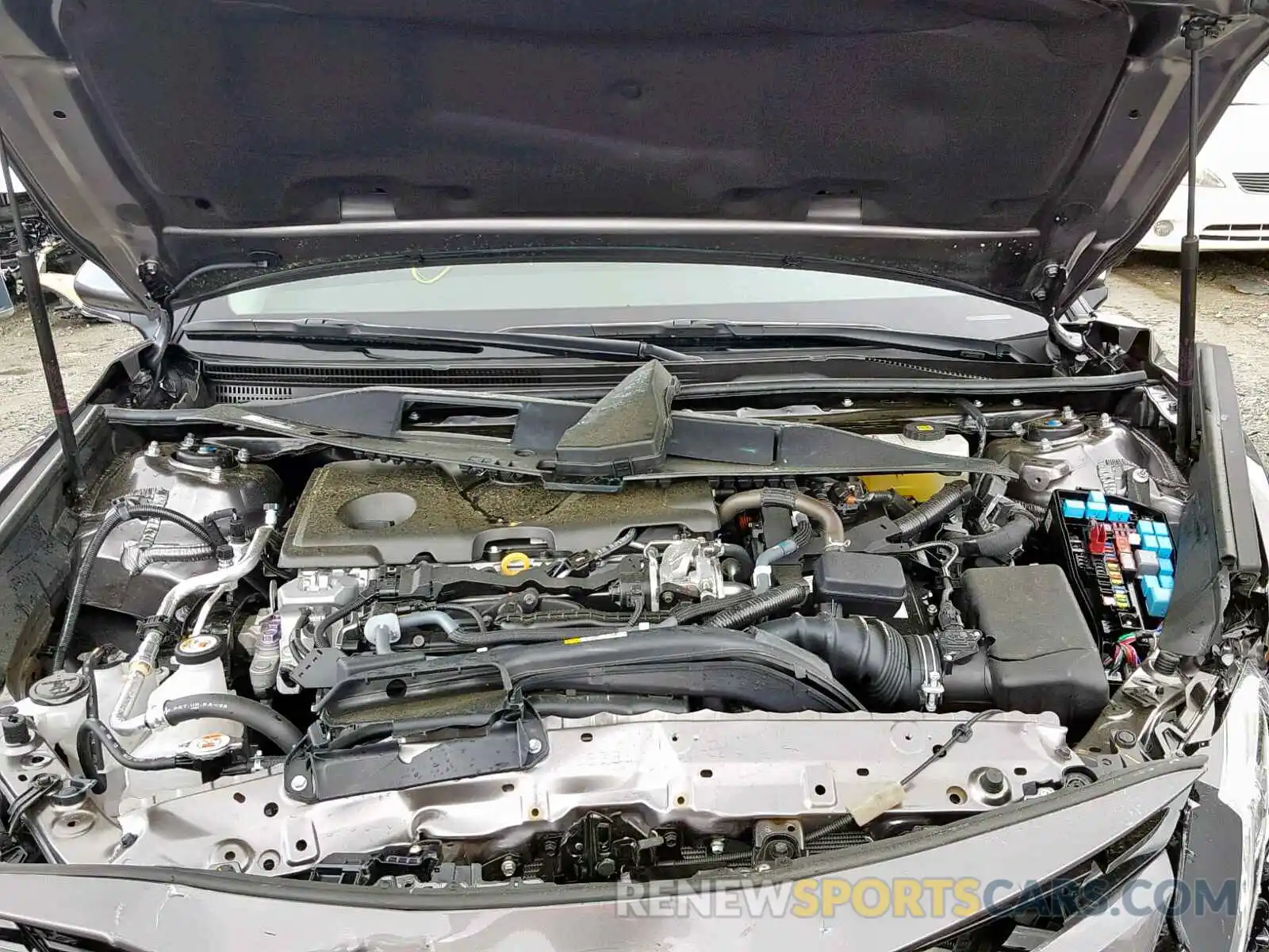 7 Photograph of a damaged car 4T1B31HK8KU006986 TOYOTA CAMRY 2019