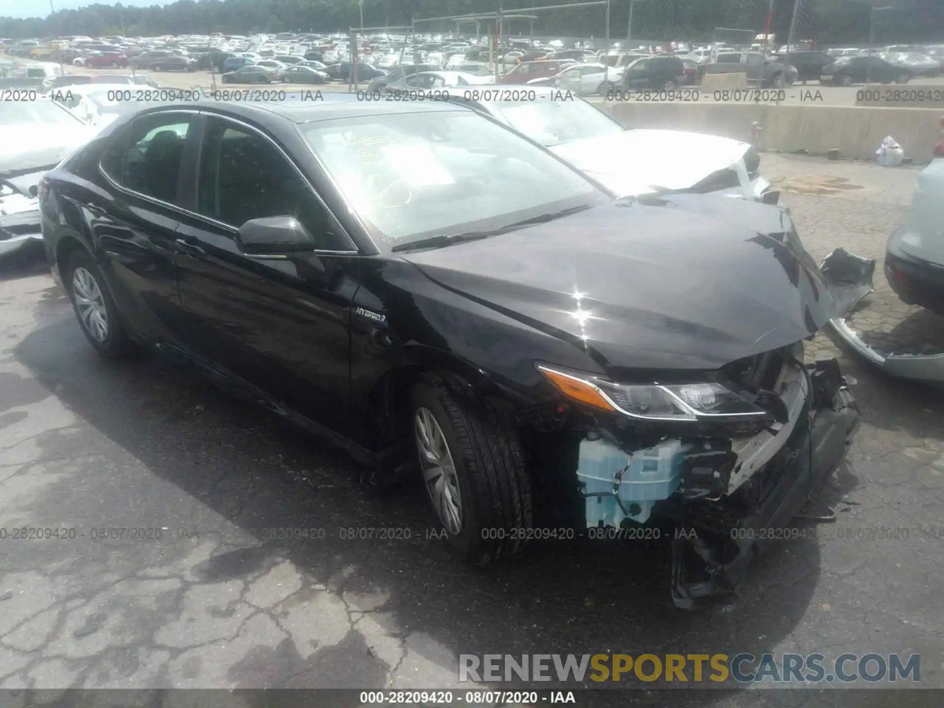 1 Photograph of a damaged car 4T1B31HK8KU008110 TOYOTA CAMRY 2019