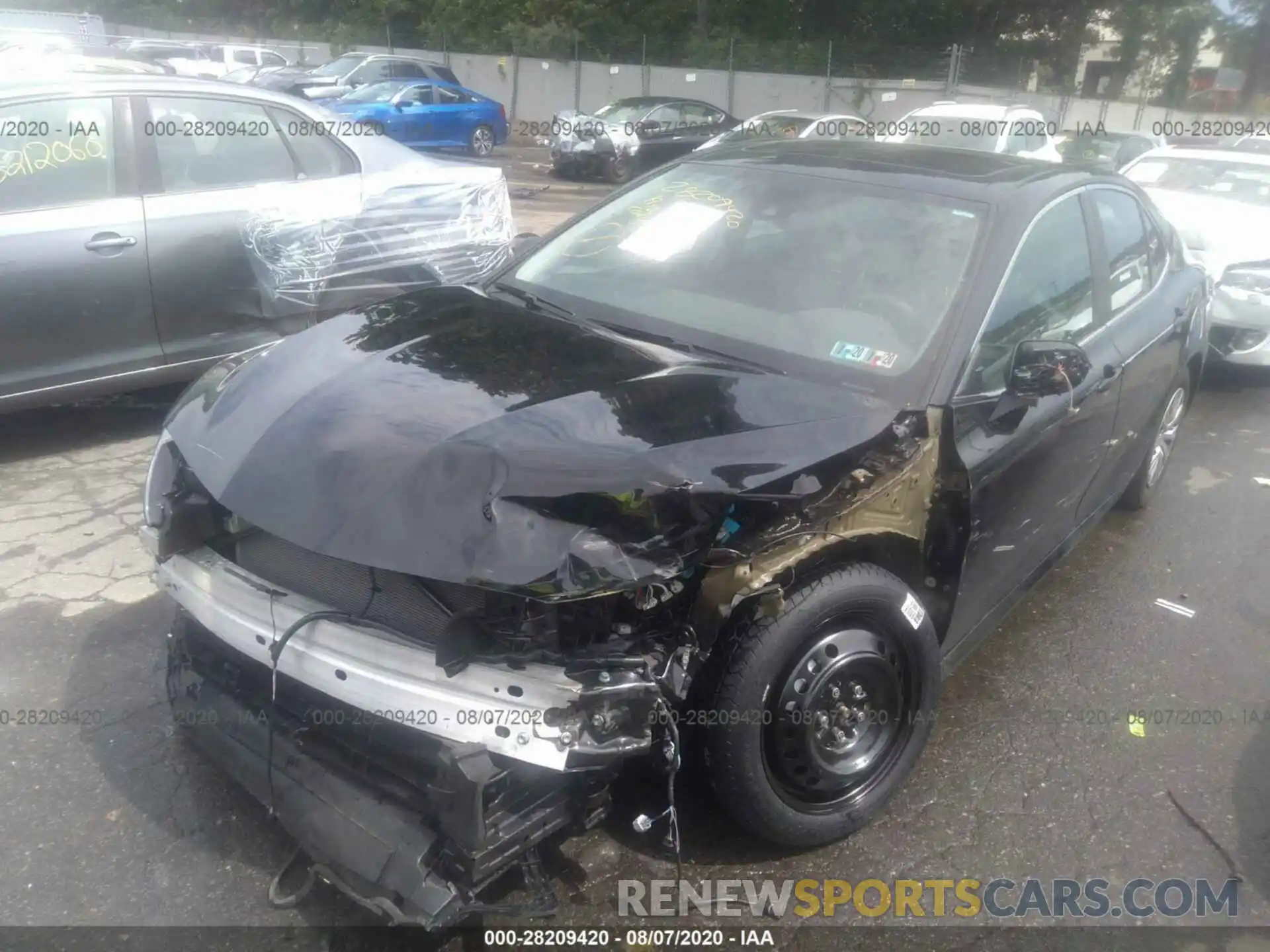 2 Photograph of a damaged car 4T1B31HK8KU008110 TOYOTA CAMRY 2019