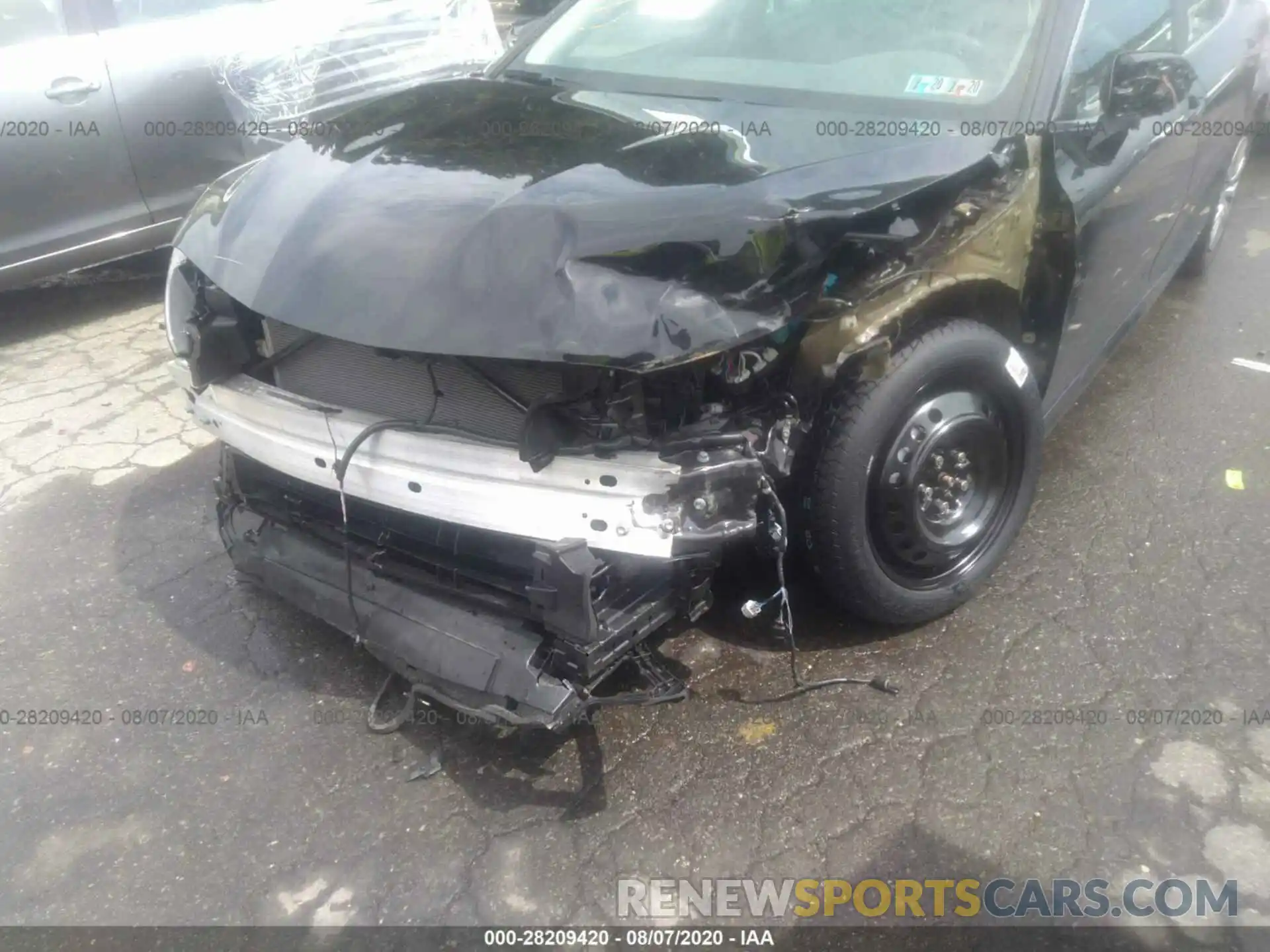 6 Photograph of a damaged car 4T1B31HK8KU008110 TOYOTA CAMRY 2019