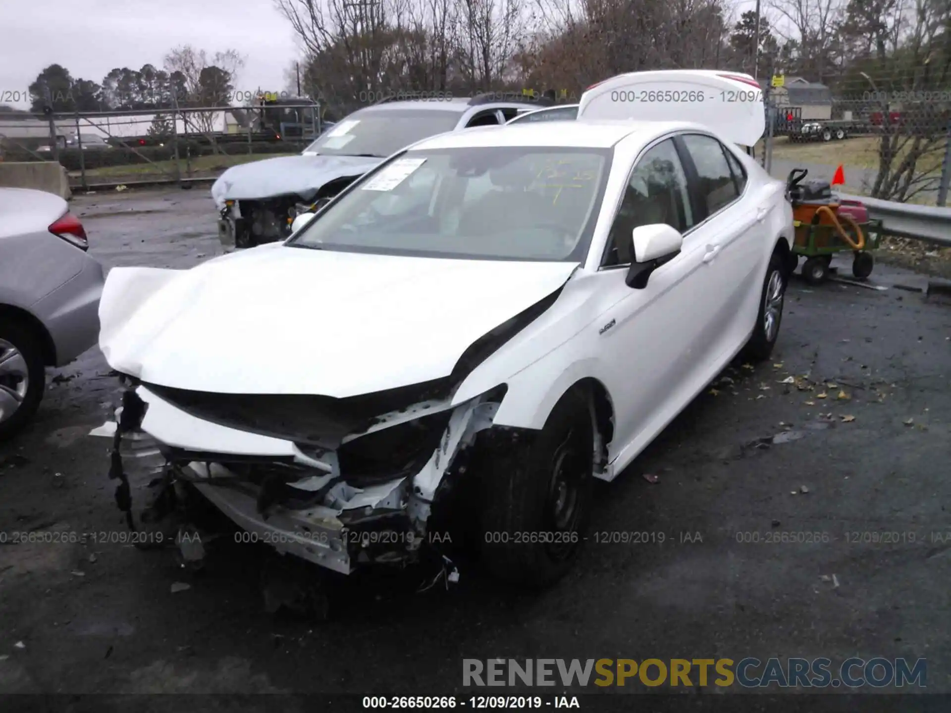 2 Photograph of a damaged car 4T1B31HK8KU509224 TOYOTA CAMRY 2019