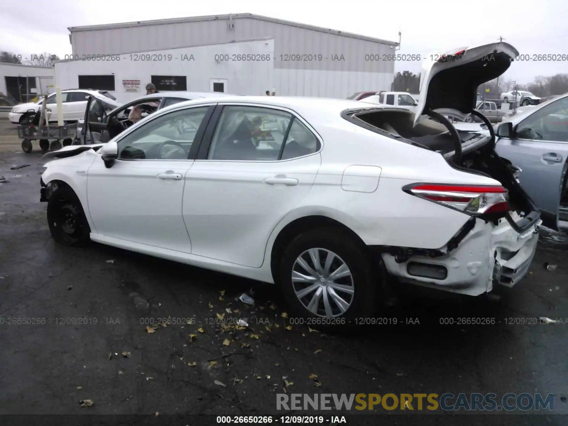 3 Photograph of a damaged car 4T1B31HK8KU509224 TOYOTA CAMRY 2019