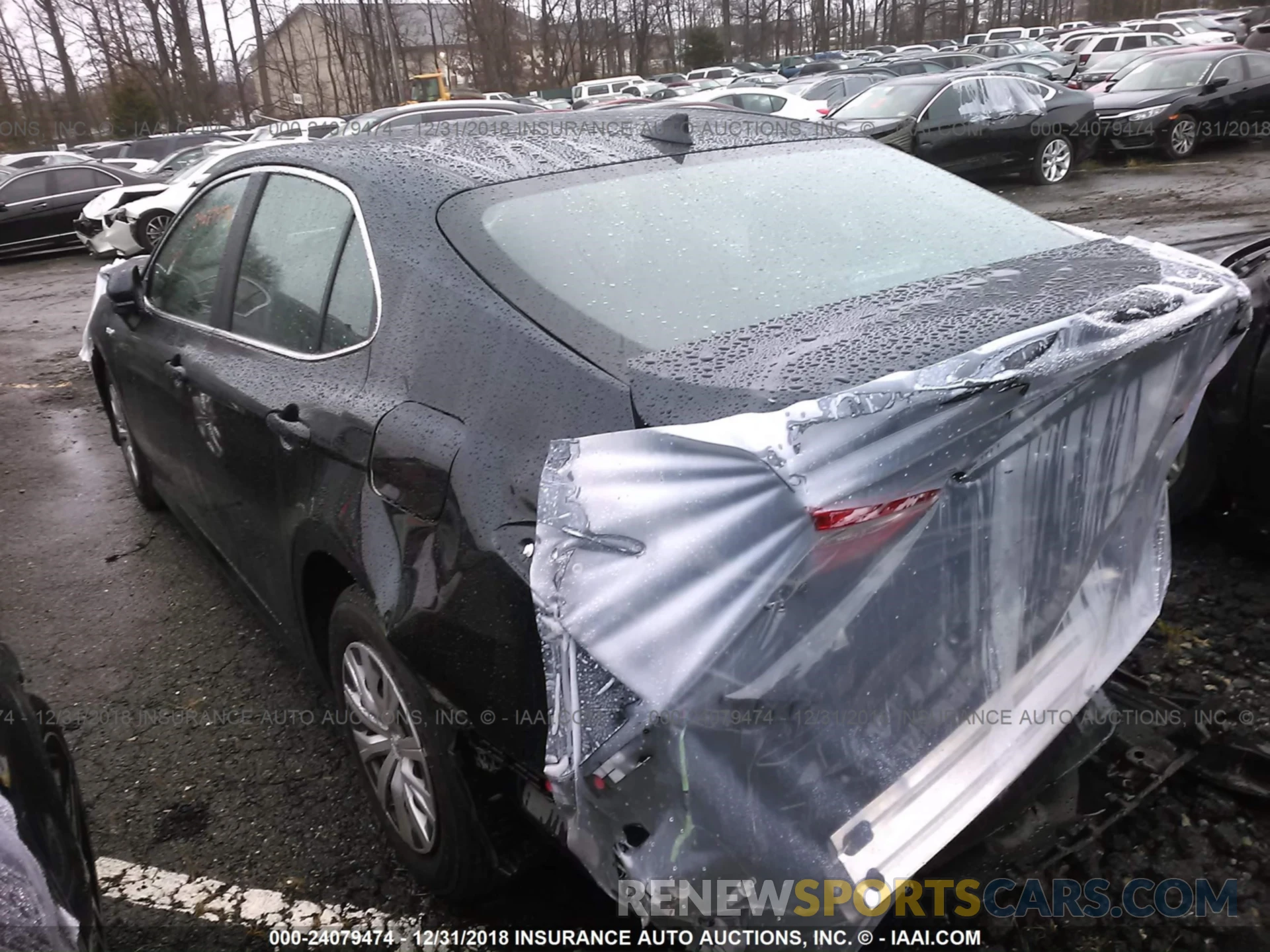 3 Photograph of a damaged car 4T1B31HK8KU510339 TOYOTA CAMRY 2019