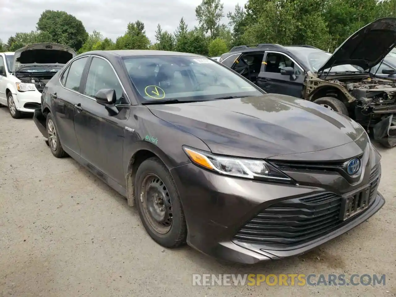 1 Photograph of a damaged car 4T1B31HK8KU514052 TOYOTA CAMRY 2019