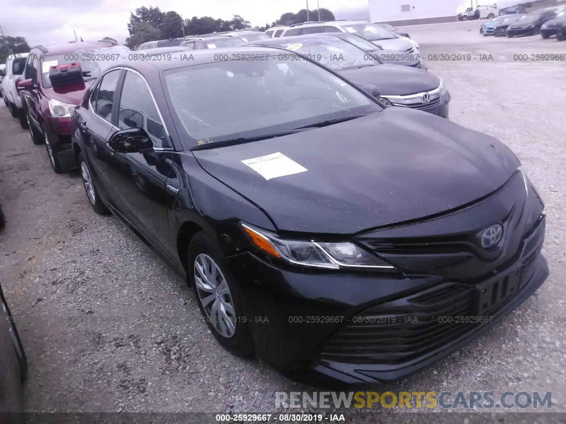 1 Photograph of a damaged car 4T1B31HK8KU514195 TOYOTA CAMRY 2019