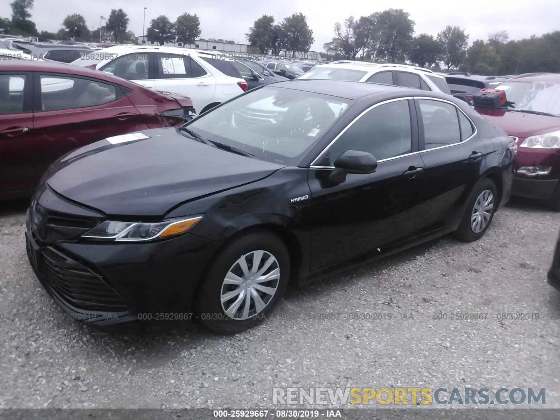 2 Photograph of a damaged car 4T1B31HK8KU514195 TOYOTA CAMRY 2019