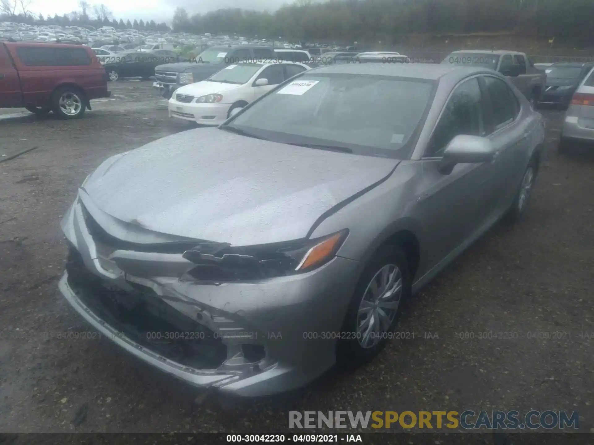 2 Photograph of a damaged car 4T1B31HK8KU514892 TOYOTA CAMRY 2019