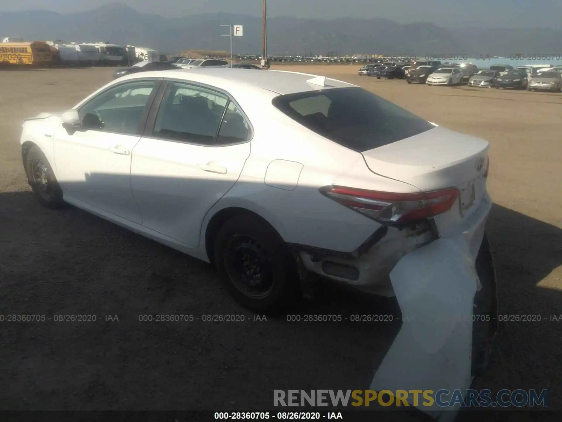 3 Photograph of a damaged car 4T1B31HK8KU515606 TOYOTA CAMRY 2019