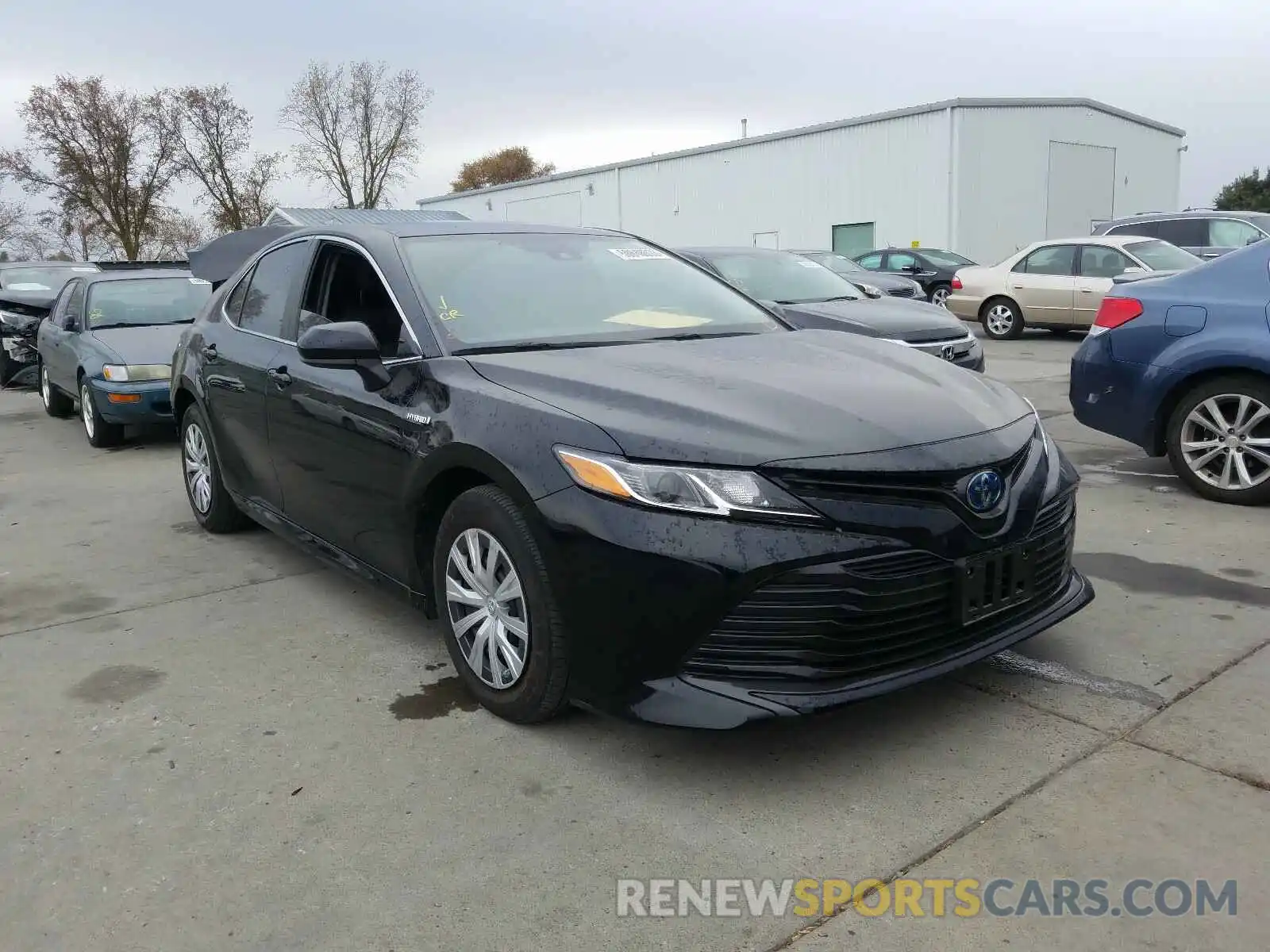 1 Photograph of a damaged car 4T1B31HK9KU007886 TOYOTA CAMRY 2019