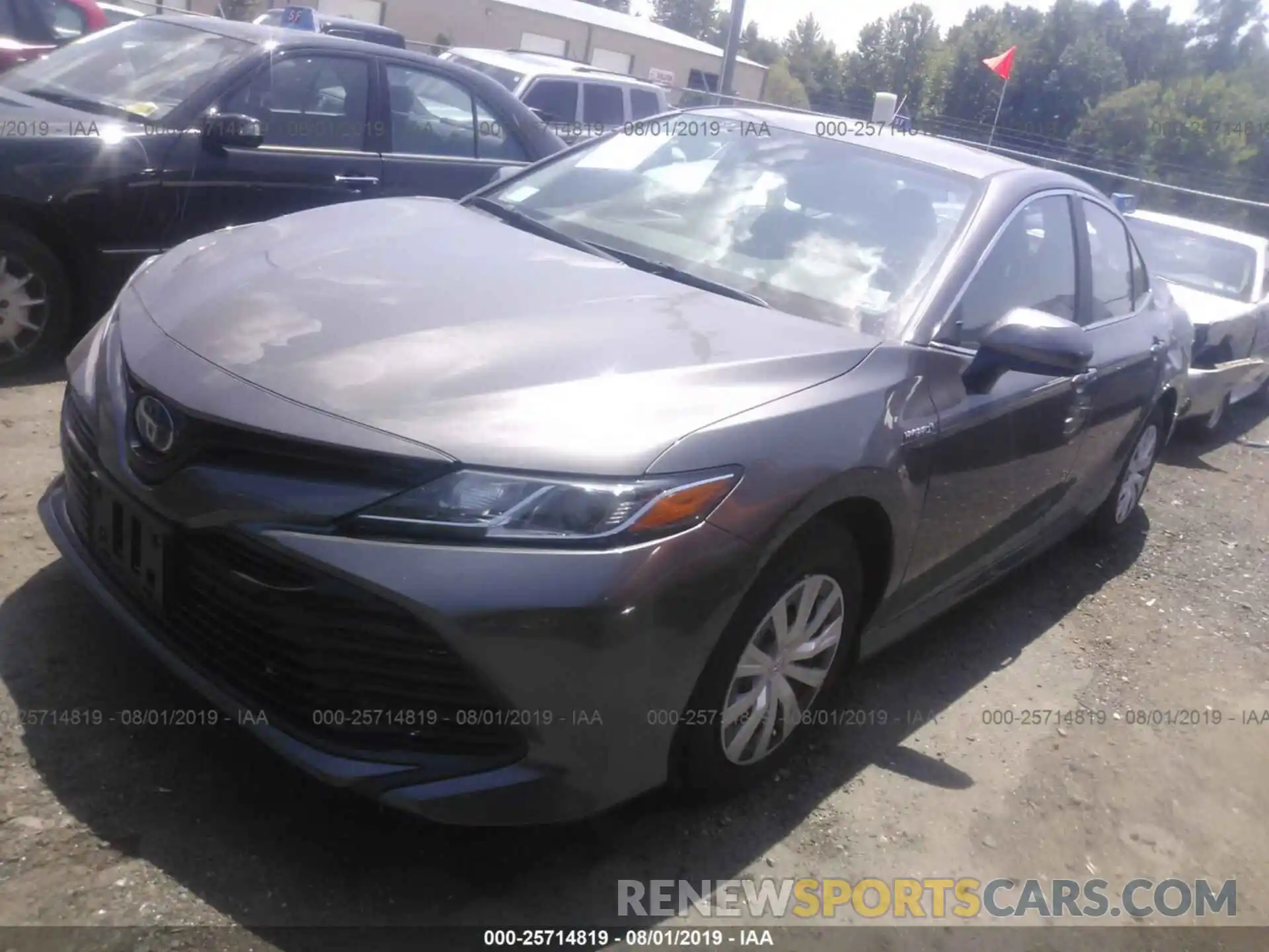 2 Photograph of a damaged car 4T1B31HK9KU513640 TOYOTA CAMRY 2019