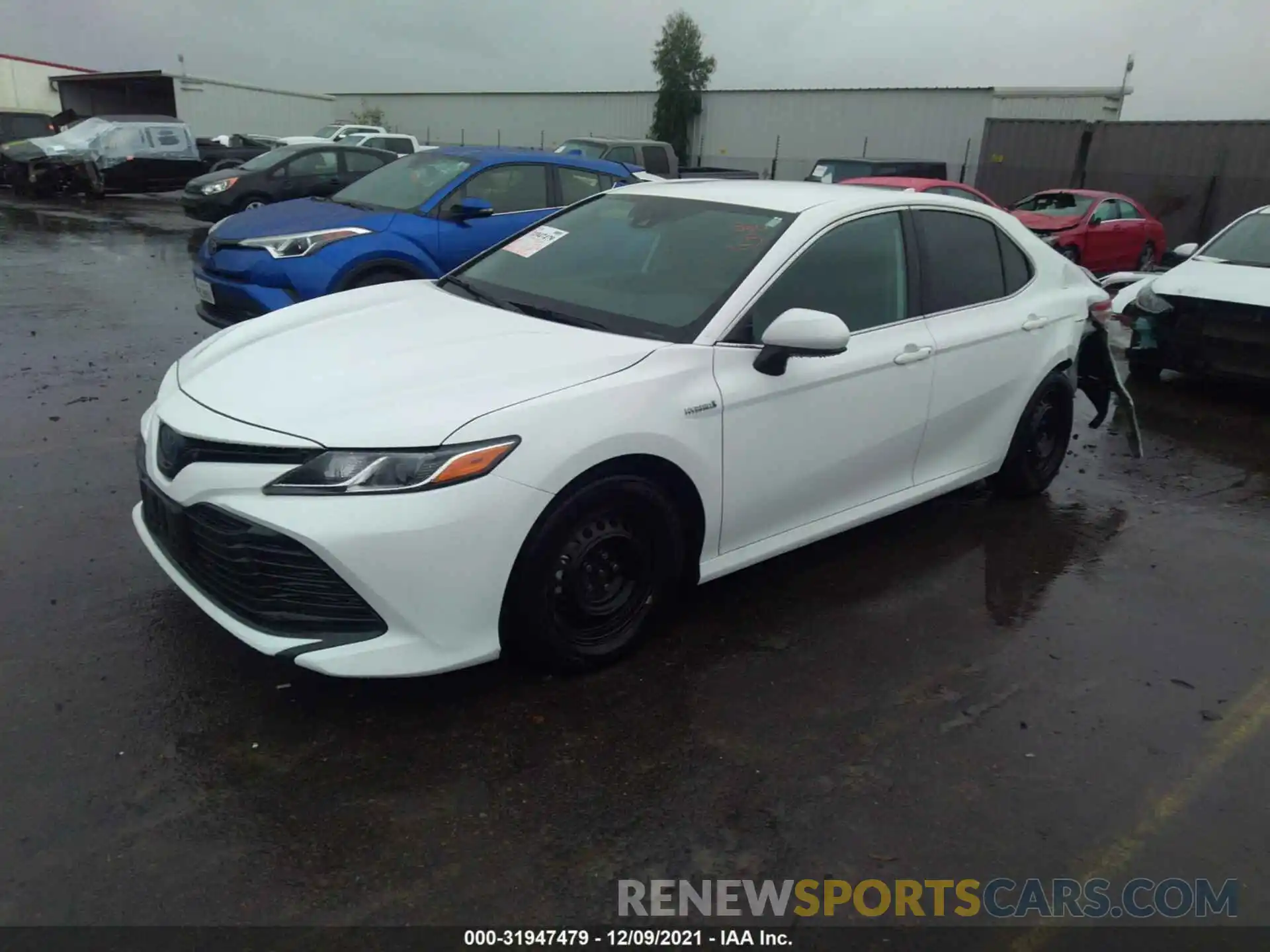 2 Photograph of a damaged car 4T1B31HK9KU516795 TOYOTA CAMRY 2019