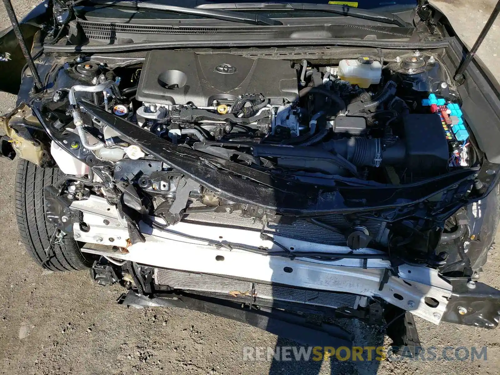 7 Photograph of a damaged car 4T1B31HK9KU517039 TOYOTA CAMRY 2019